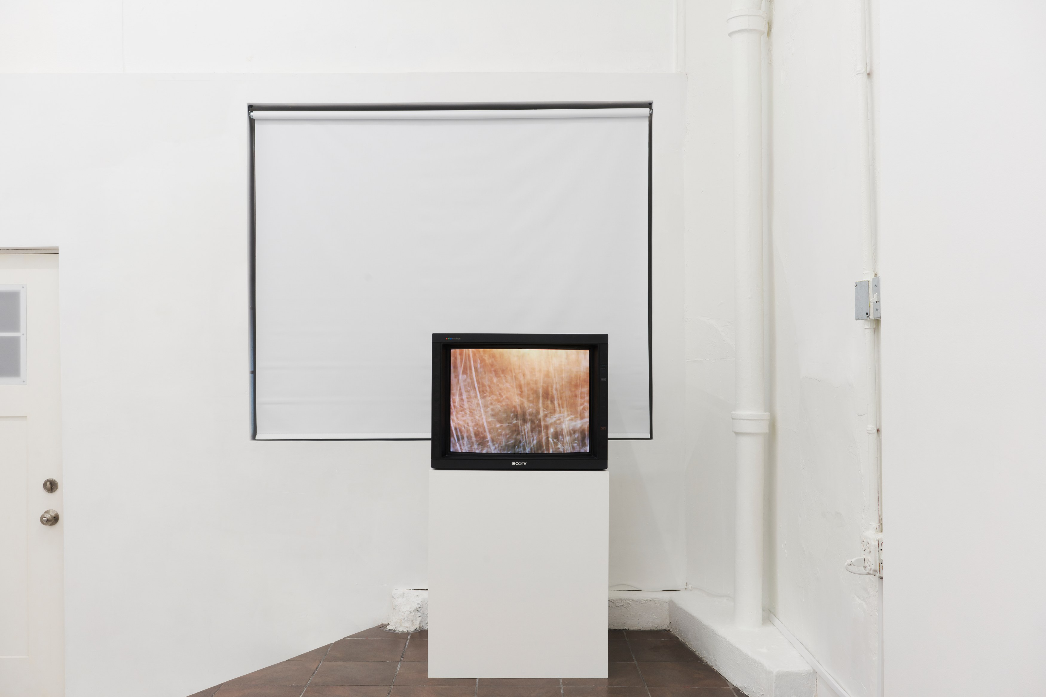 Anthony Discenza, Nancy Holt, Robert Smithson, First Alienation at Timeshare, photo 9