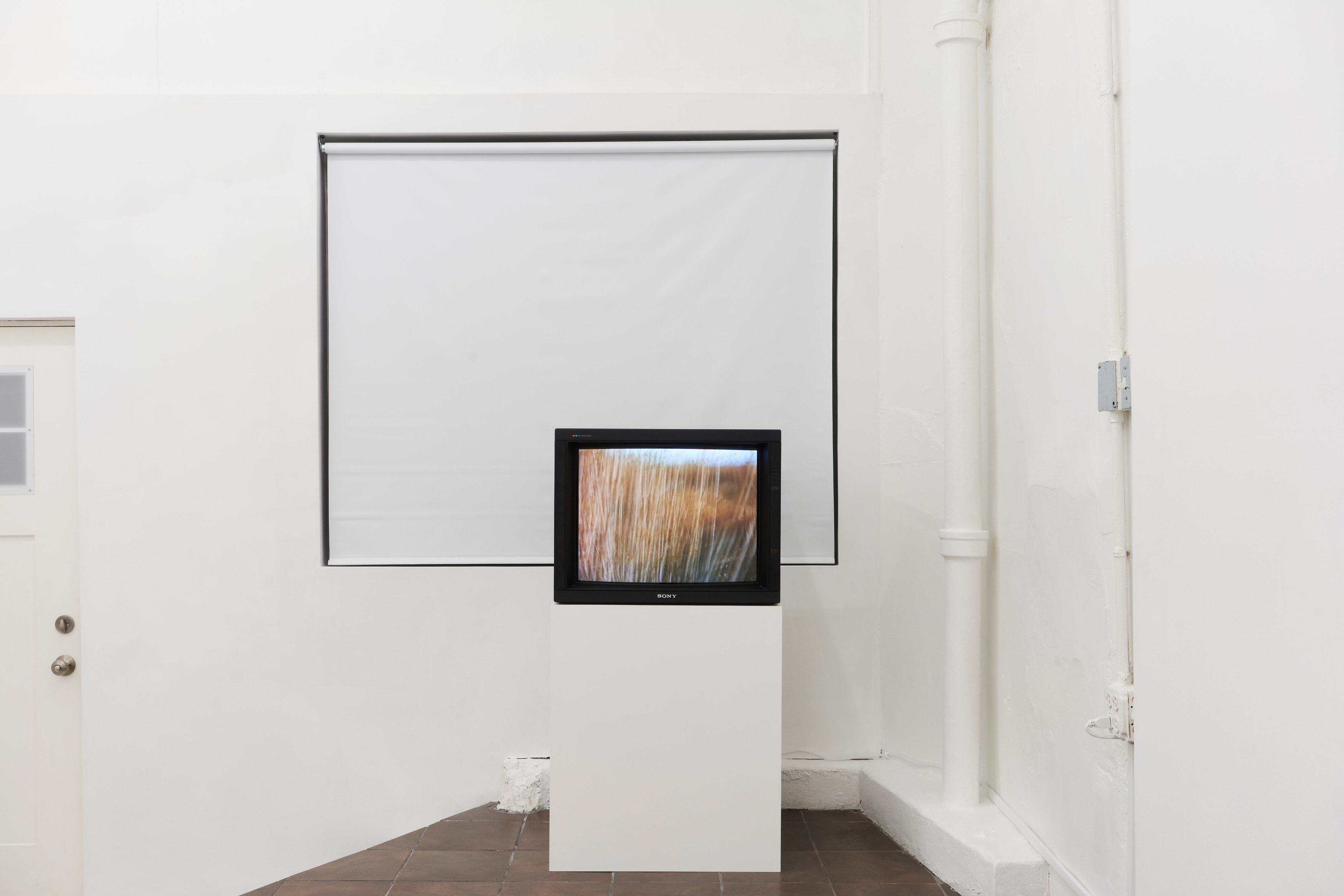 Anthony Discenza, Nancy Holt, Robert Smithson, First Alienation at Timeshare, photo 7