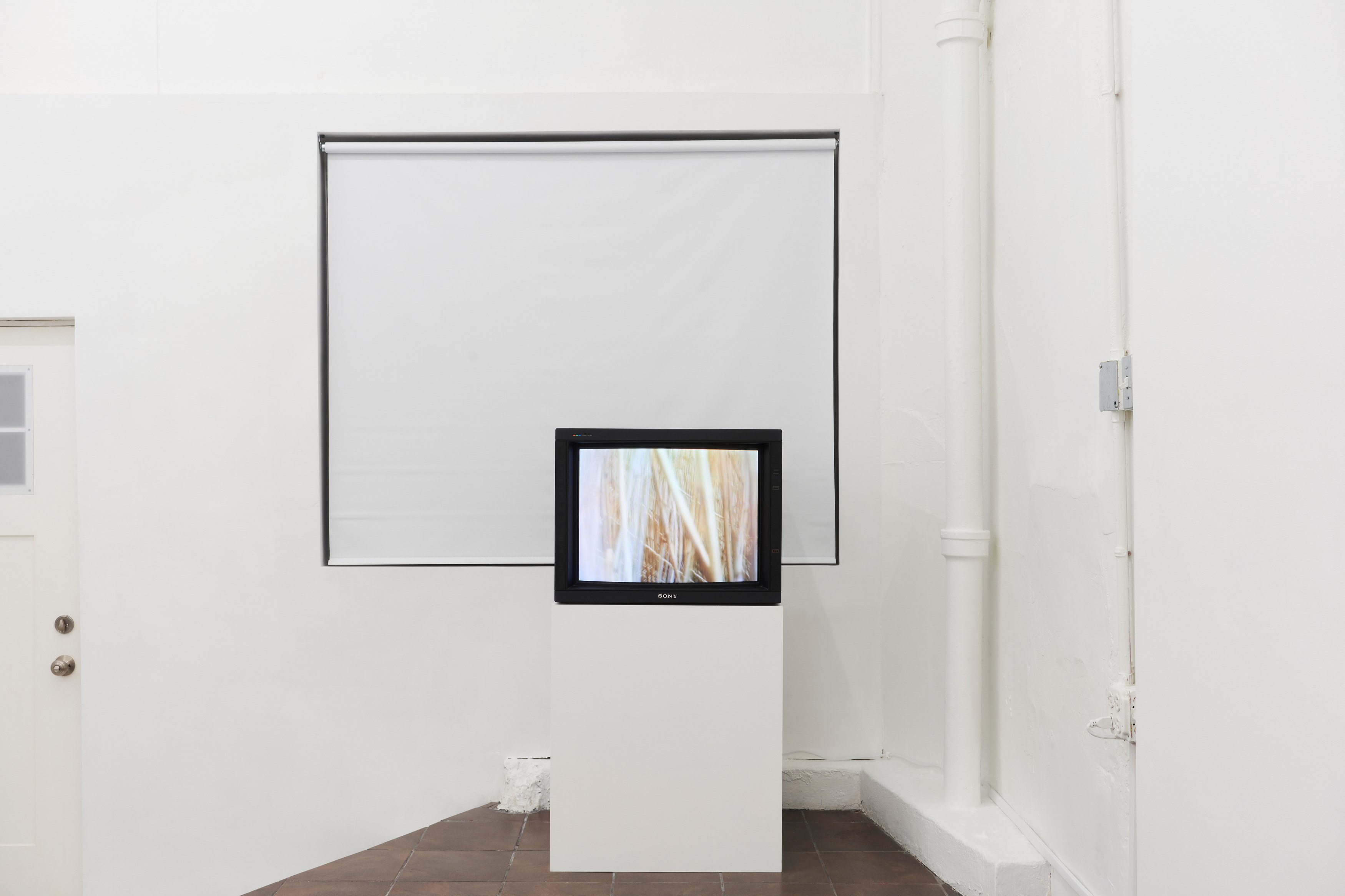 Anthony Discenza, Nancy Holt, Robert Smithson, First Alienation at Timeshare, photo 8