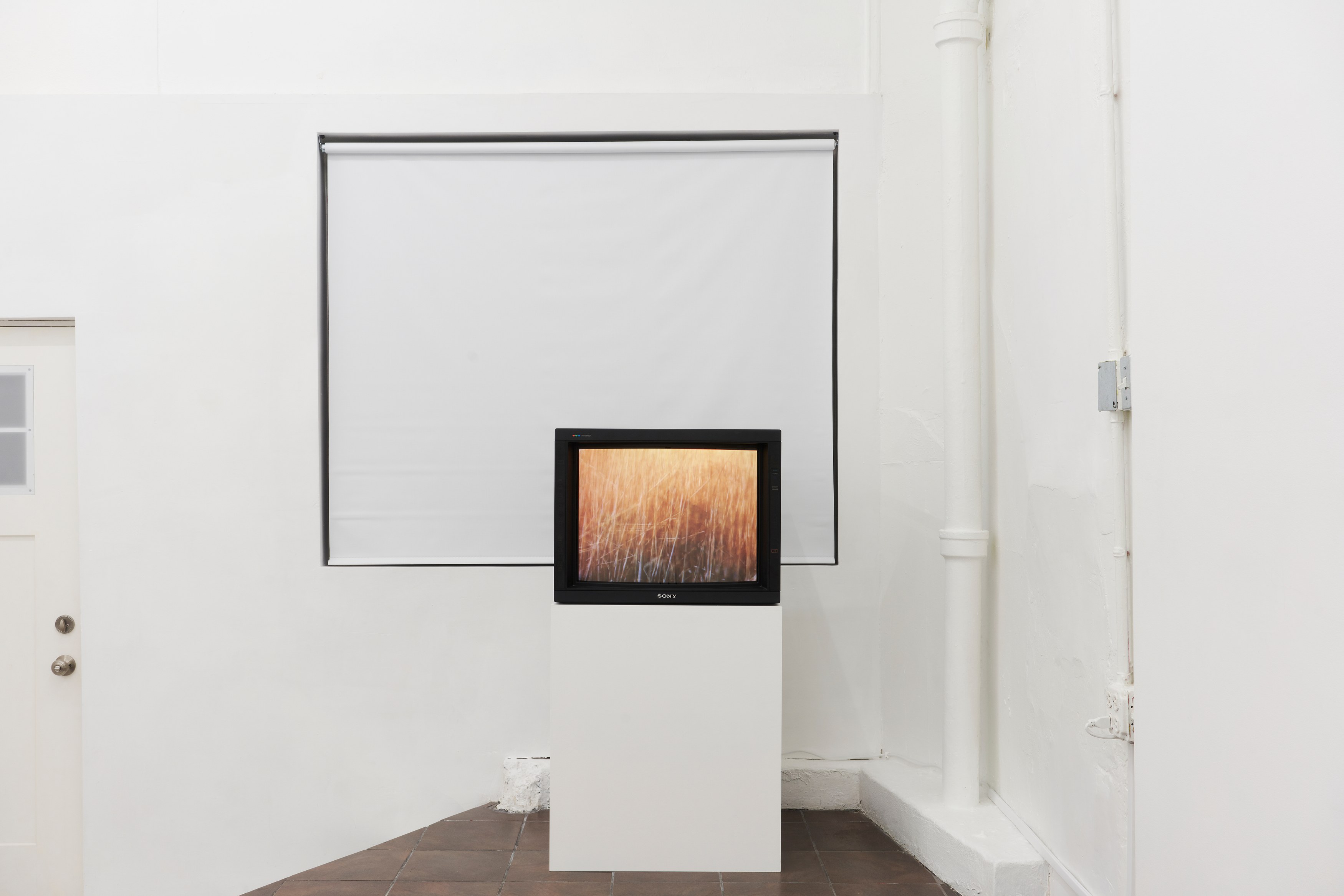 Anthony Discenza, Nancy Holt, Robert Smithson, First Alienation at Timeshare, photo 10