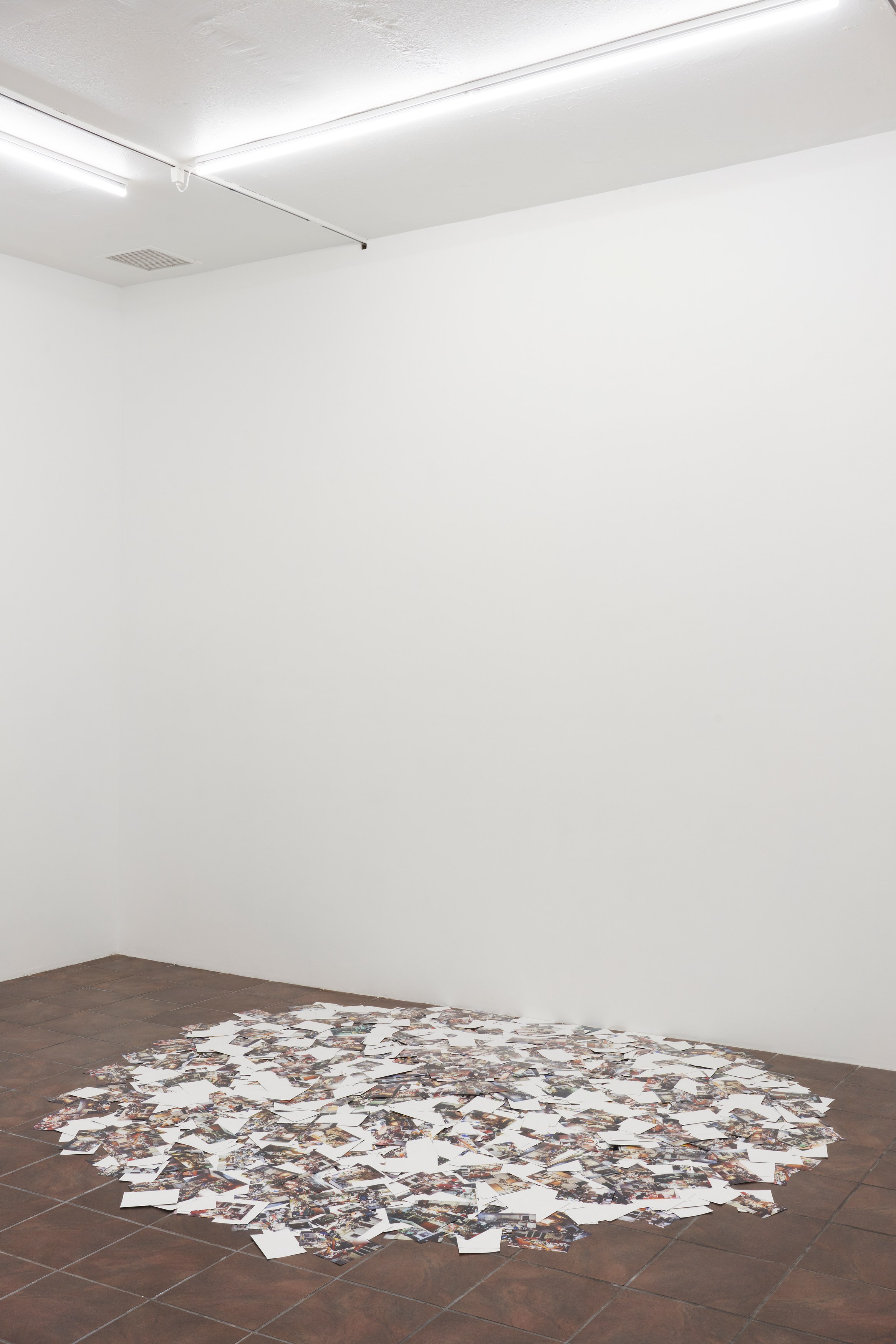 Anthony Discenza, Nancy Holt, Robert Smithson, First Alienation at Timeshare, photo 14