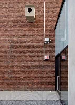 Image 12 of 17
