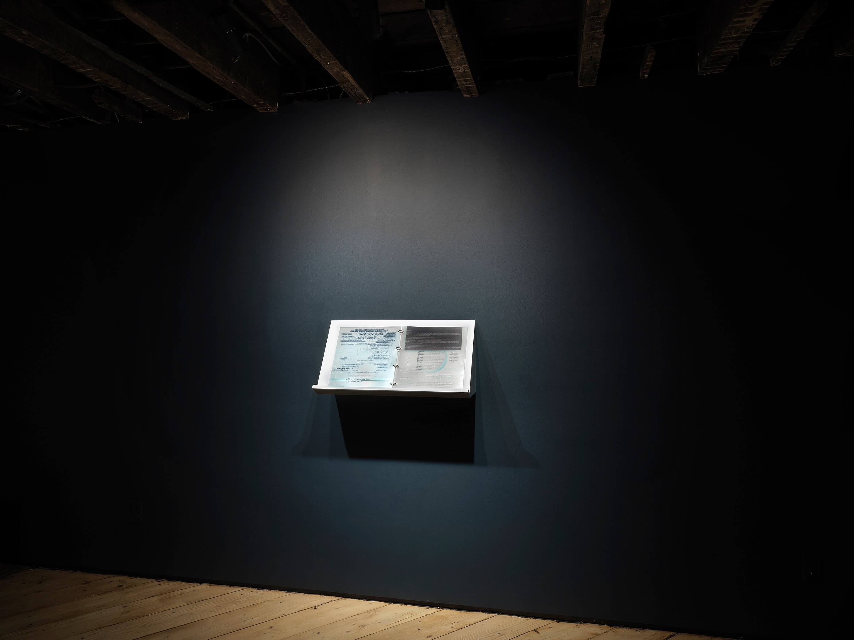 Genevieve Goffman, All the Words That Came Down to Meet the Body That Came Up From the Ground at Foreign & Domestic, photo 4
