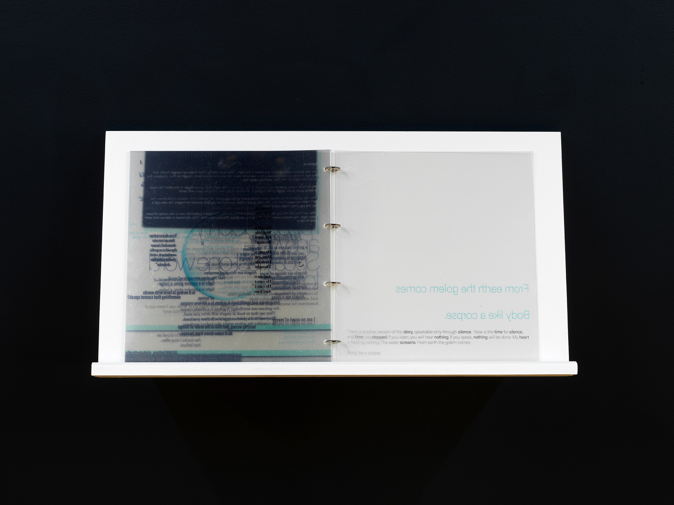 Genevieve Goffman, All the Words That Came Down to Meet the Body That Came Up From the Ground at Foreign & Domestic, photo 7