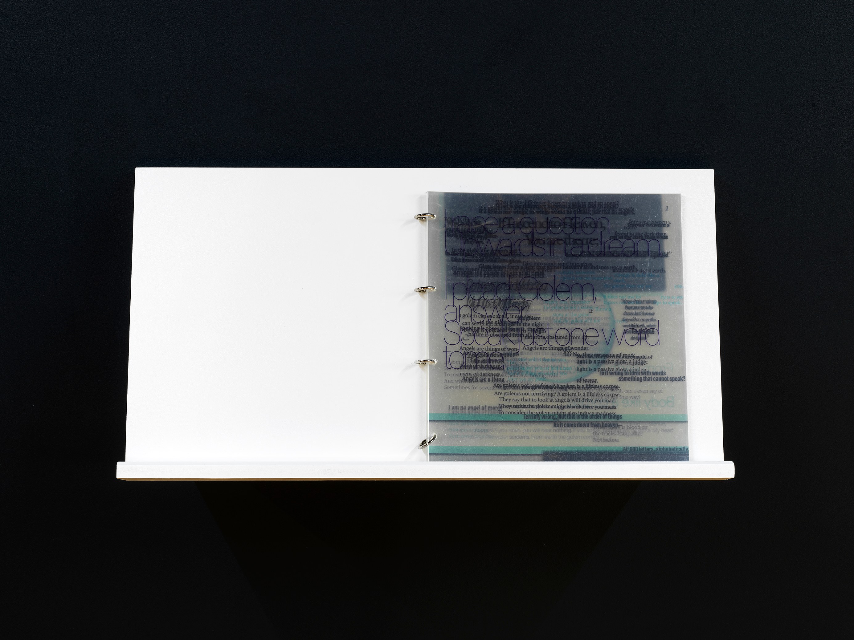 Genevieve Goffman, All the Words That Came Down to Meet the Body That Came Up From the Ground at Foreign & Domestic, photo 8