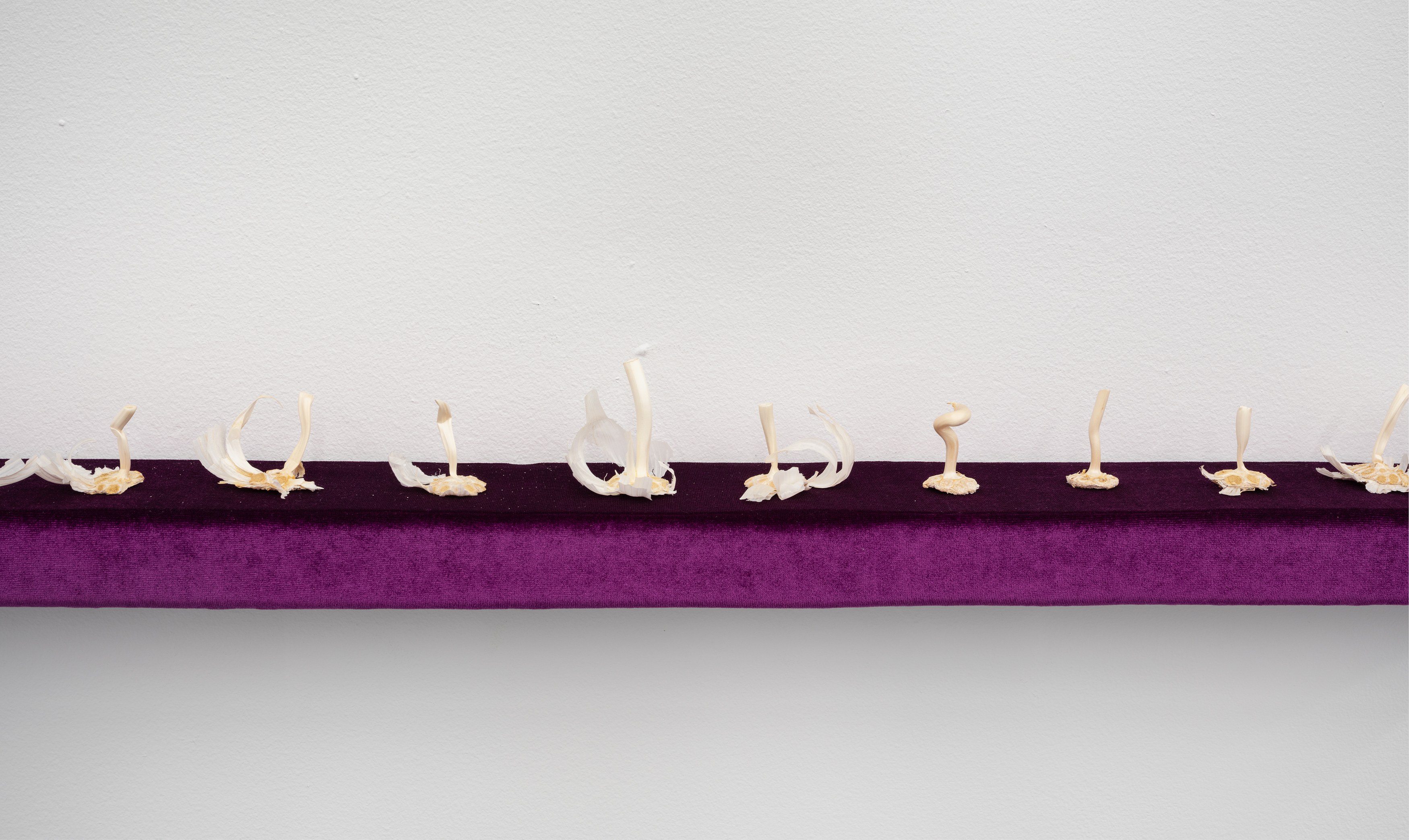 Tyger Tyger, Burning Bright, Tyger Tyger, Burning Bright at Kate Werble, photo 18