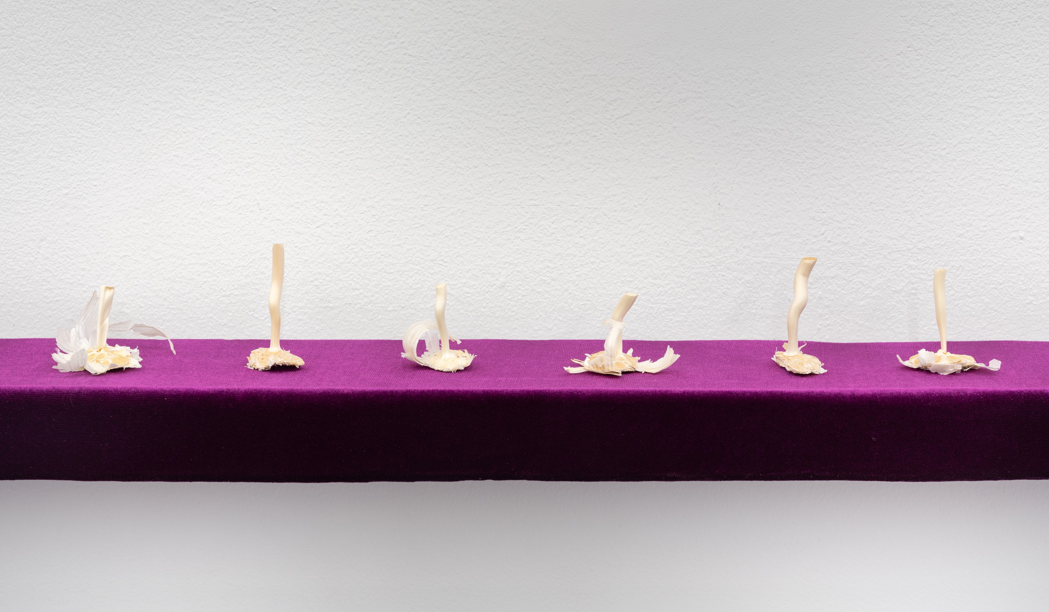 Tyger Tyger, Burning Bright, Tyger Tyger, Burning Bright at Kate Werble, photo 16