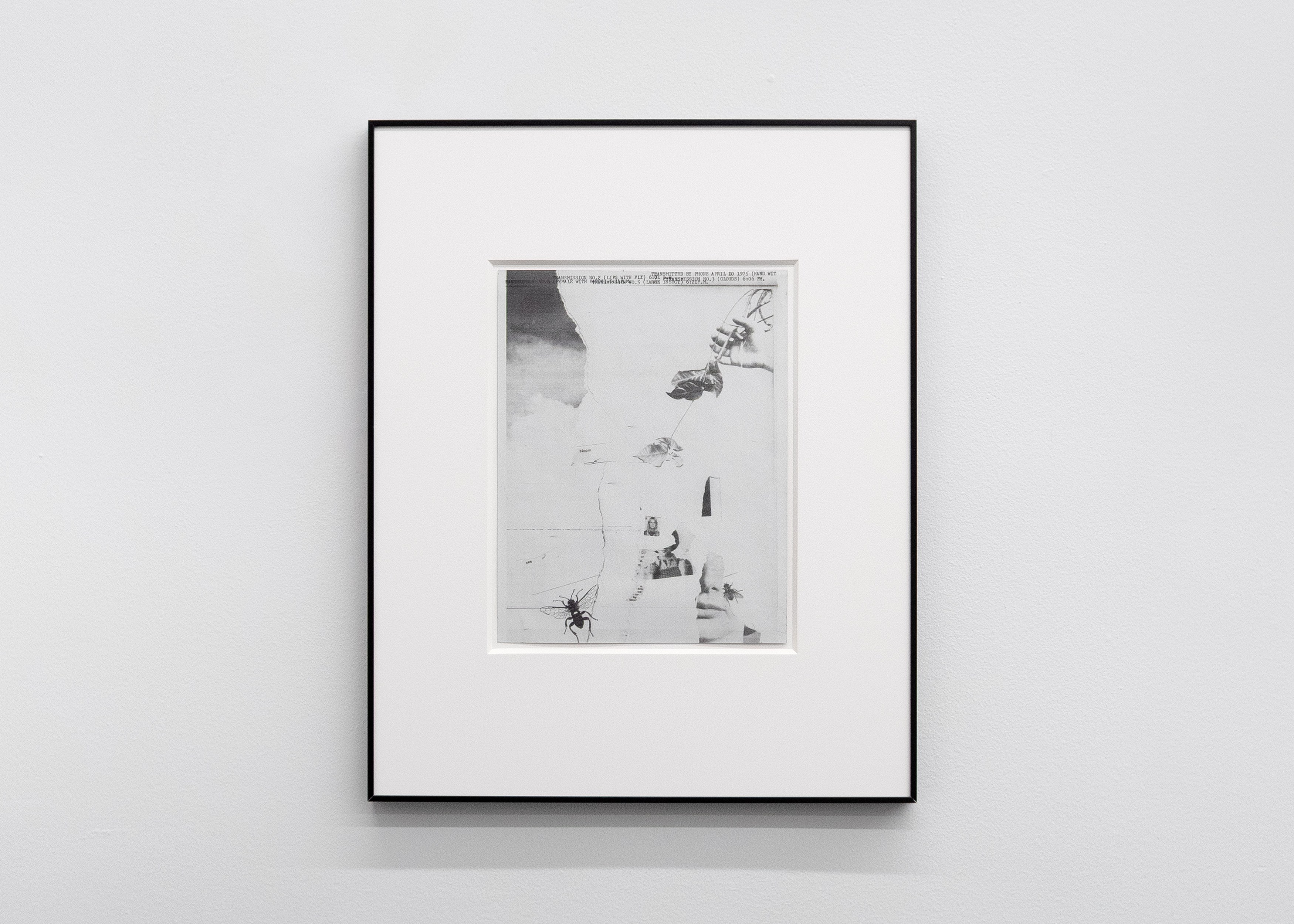 Tyger Tyger, Burning Bright, Tyger Tyger, Burning Bright at Kate Werble, photo 21