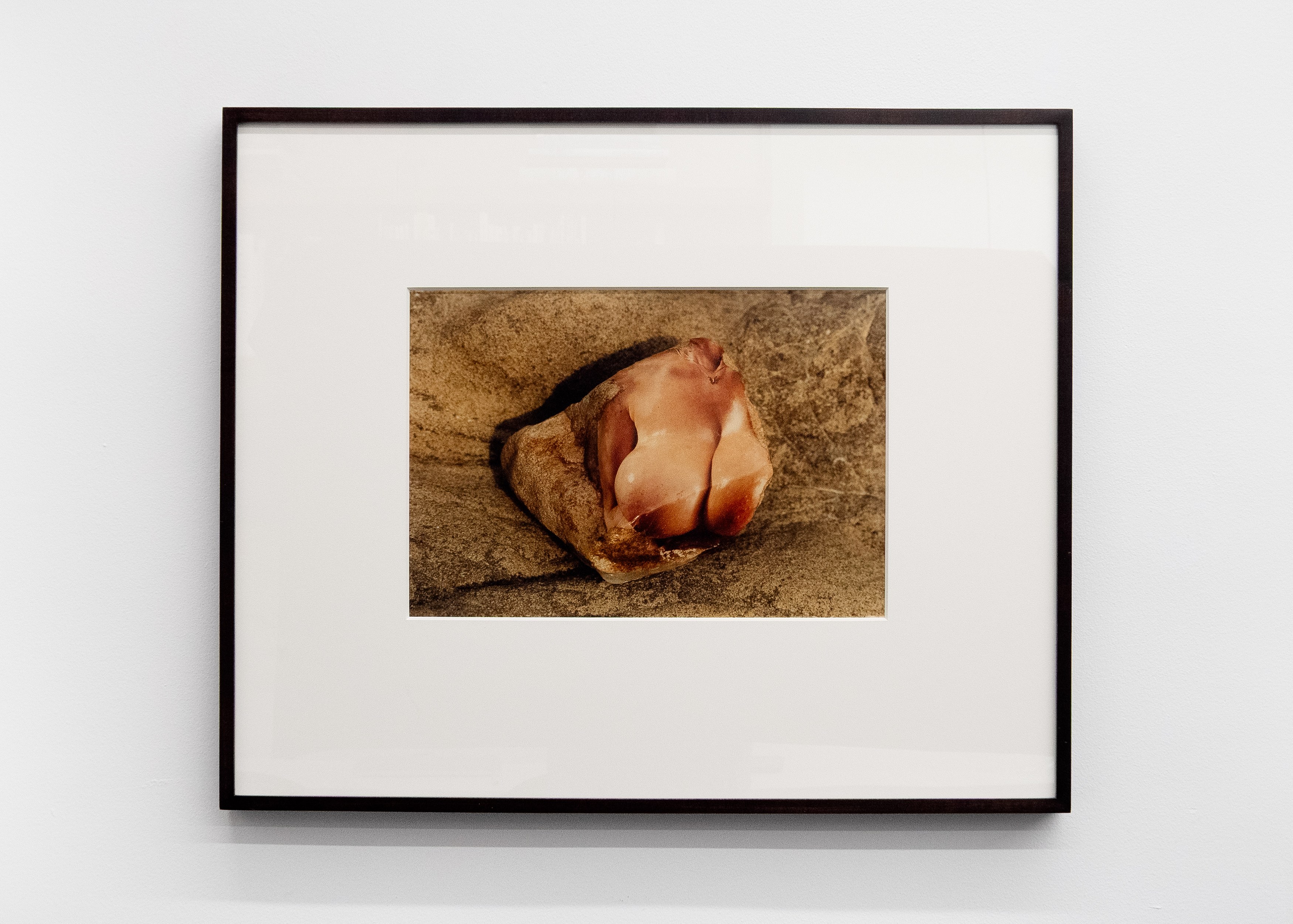 Tyger Tyger, Burning Bright, Tyger Tyger, Burning Bright at Kate Werble, photo 31