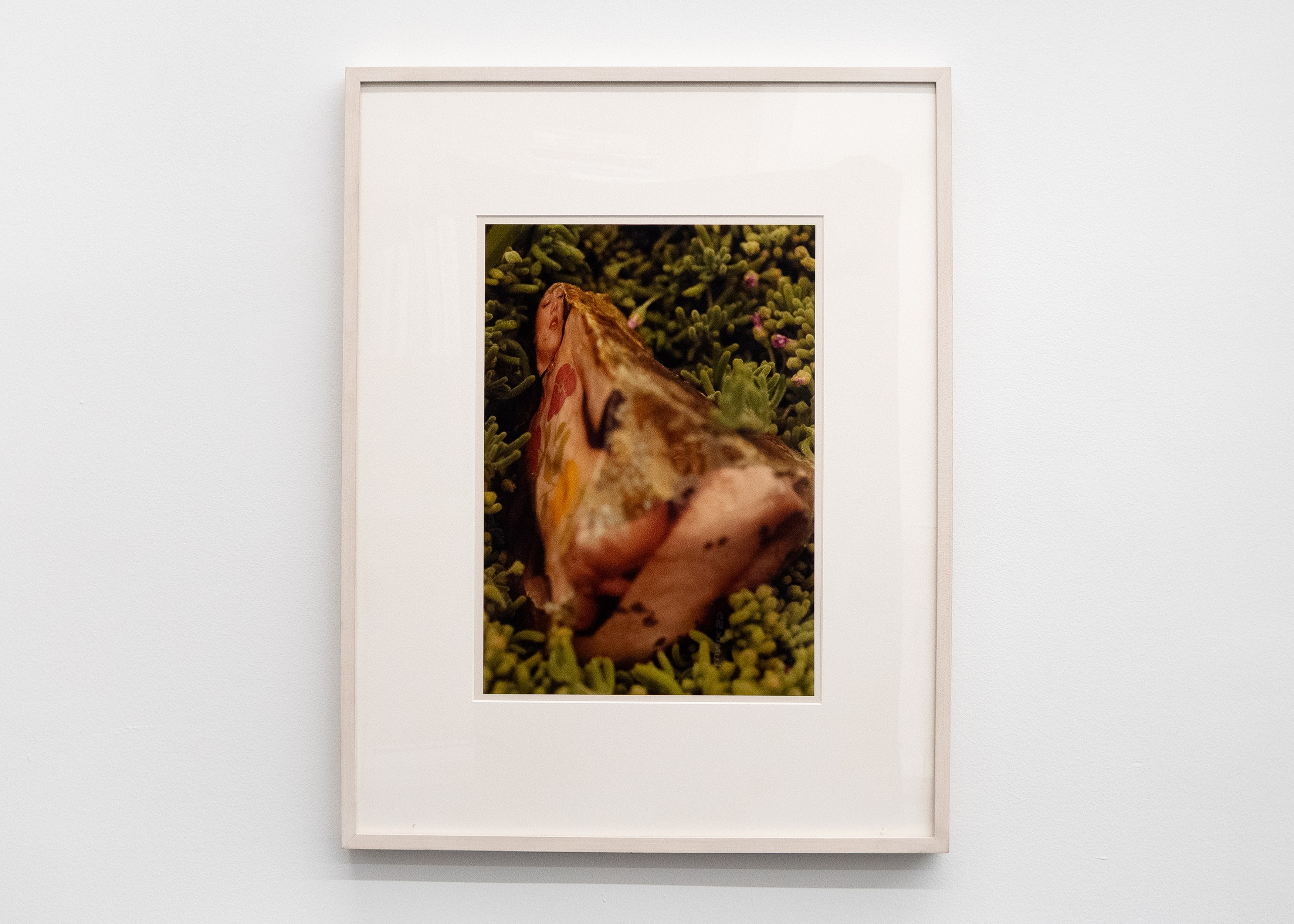 Tyger Tyger, Burning Bright, Tyger Tyger, Burning Bright at Kate Werble, photo 33