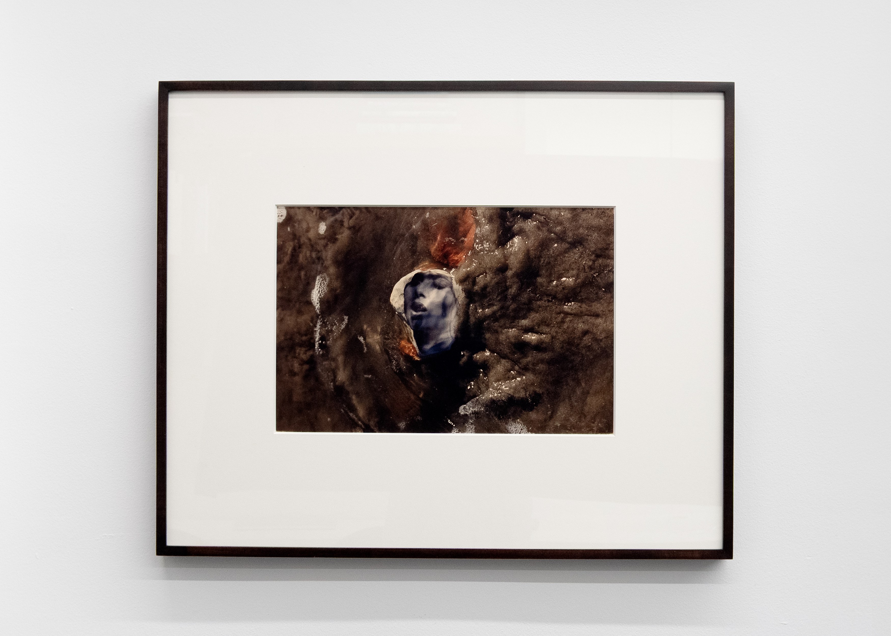 Tyger Tyger, Burning Bright, Tyger Tyger, Burning Bright at Kate Werble, photo 32