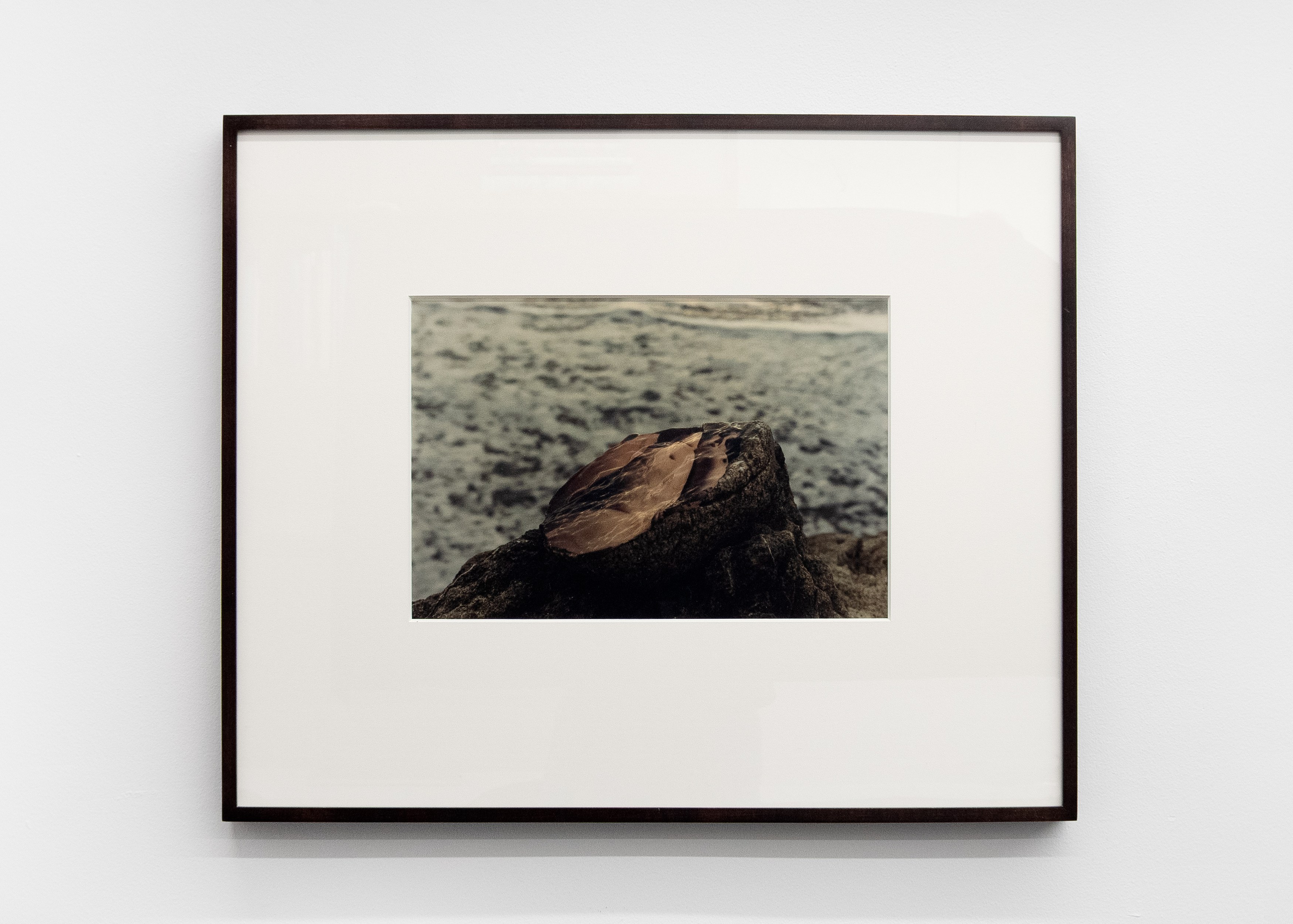 Tyger Tyger, Burning Bright, Tyger Tyger, Burning Bright at Kate Werble, photo 34
