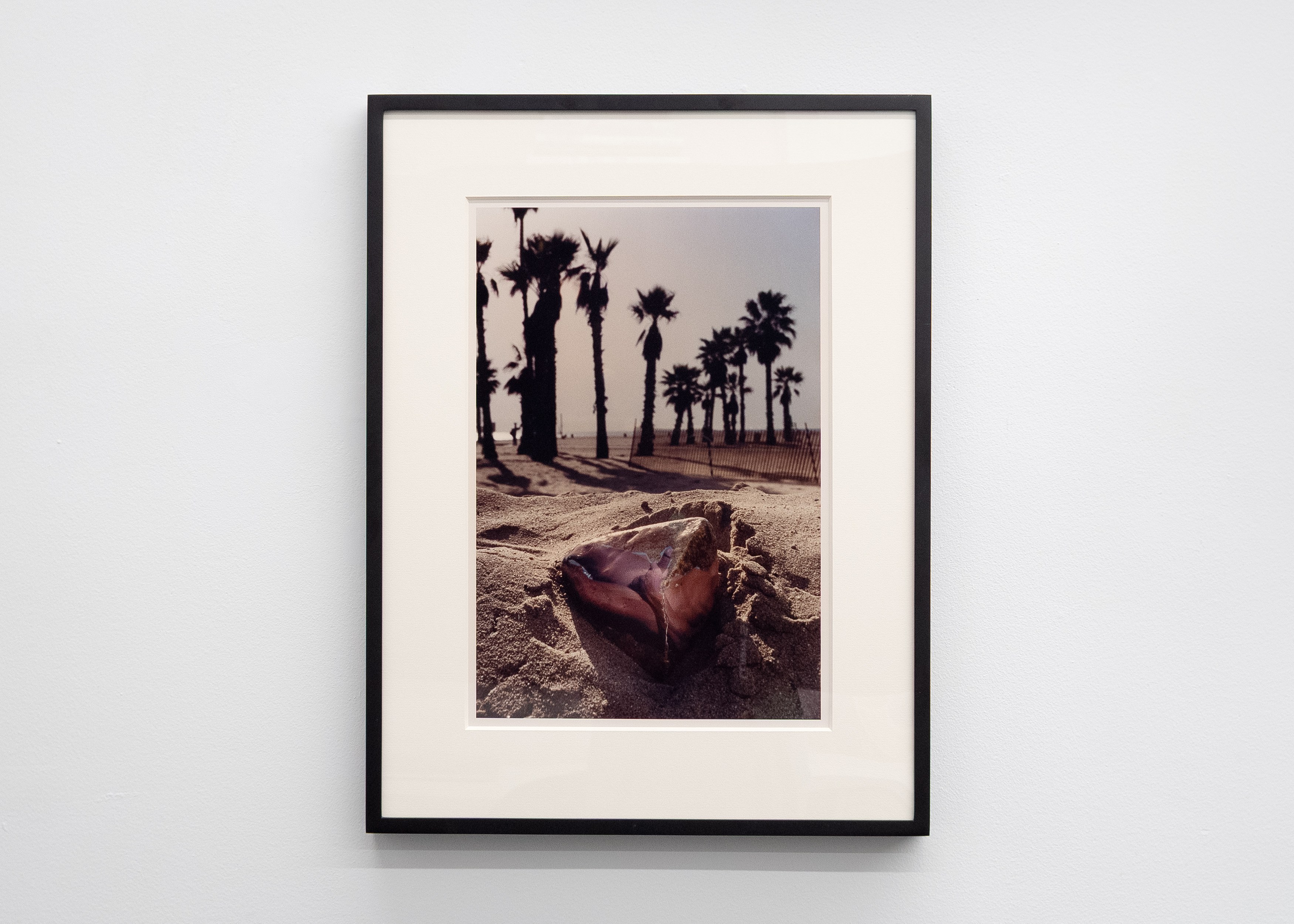 Tyger Tyger, Burning Bright, Tyger Tyger, Burning Bright at Kate Werble, photo 35
