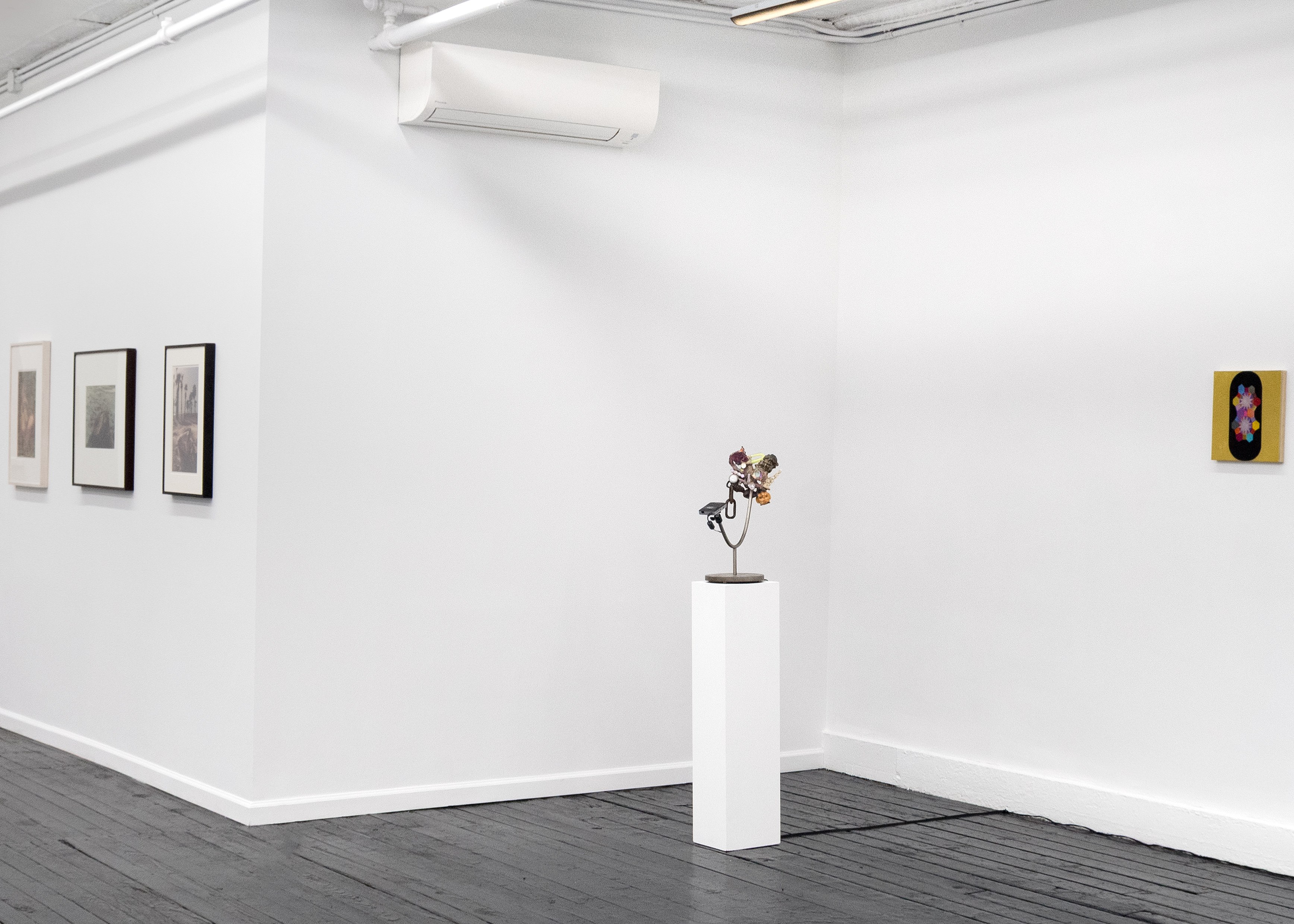 Tyger Tyger, Burning Bright, Tyger Tyger, Burning Bright at Kate Werble, photo 3