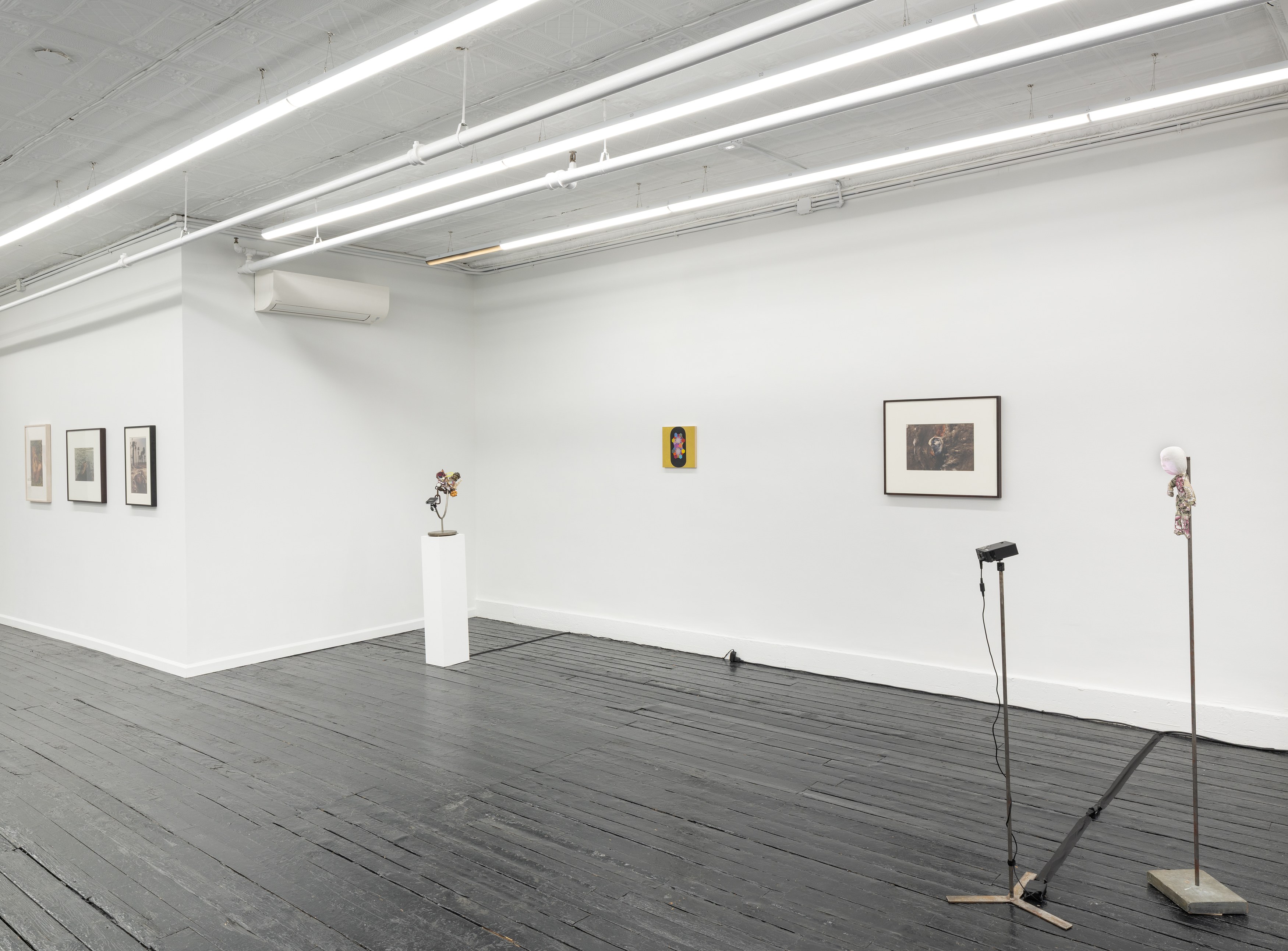 Tyger Tyger, Burning Bright, Tyger Tyger, Burning Bright at Kate Werble, photo 6