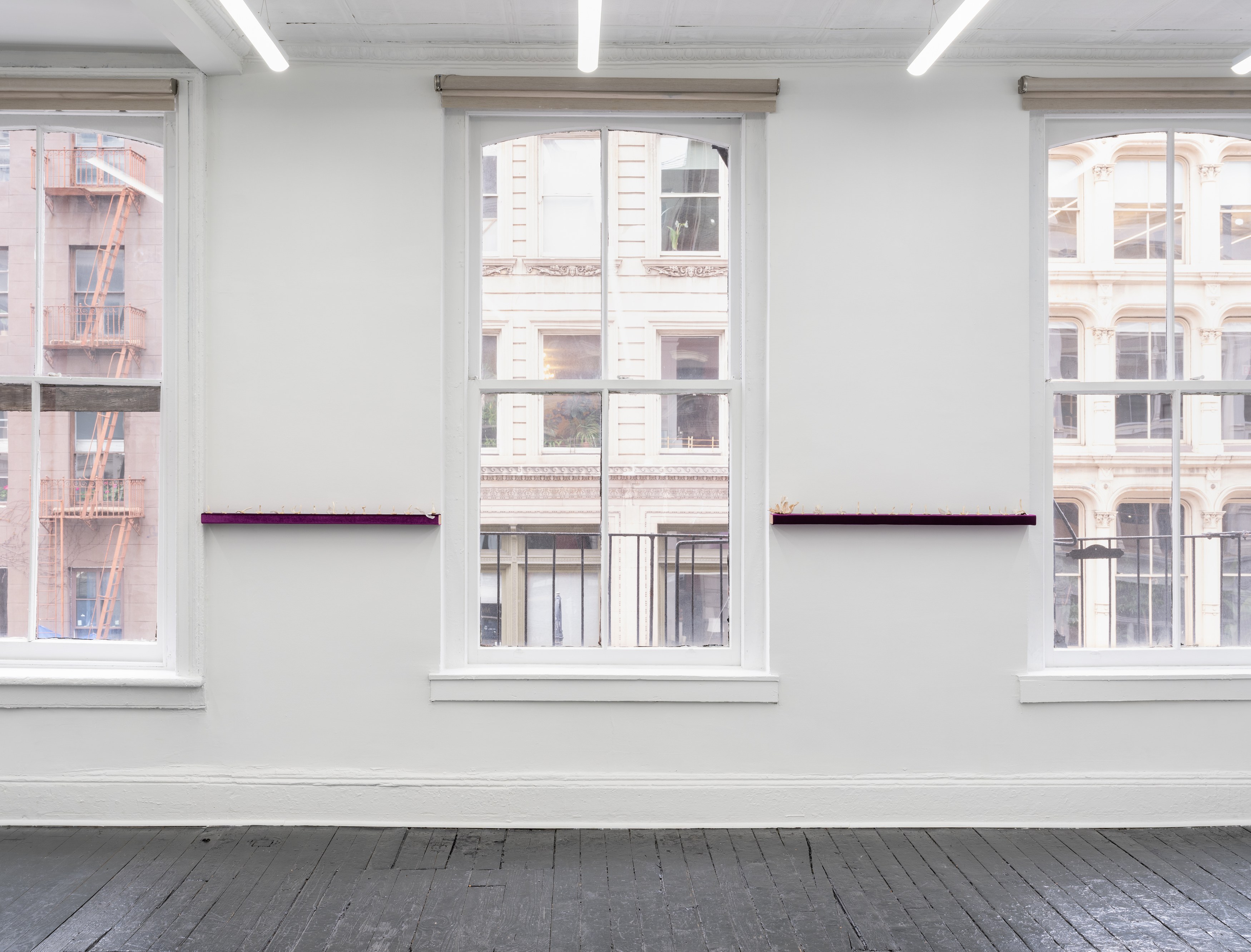 Tyger Tyger, Burning Bright, Tyger Tyger, Burning Bright at Kate Werble, photo 11