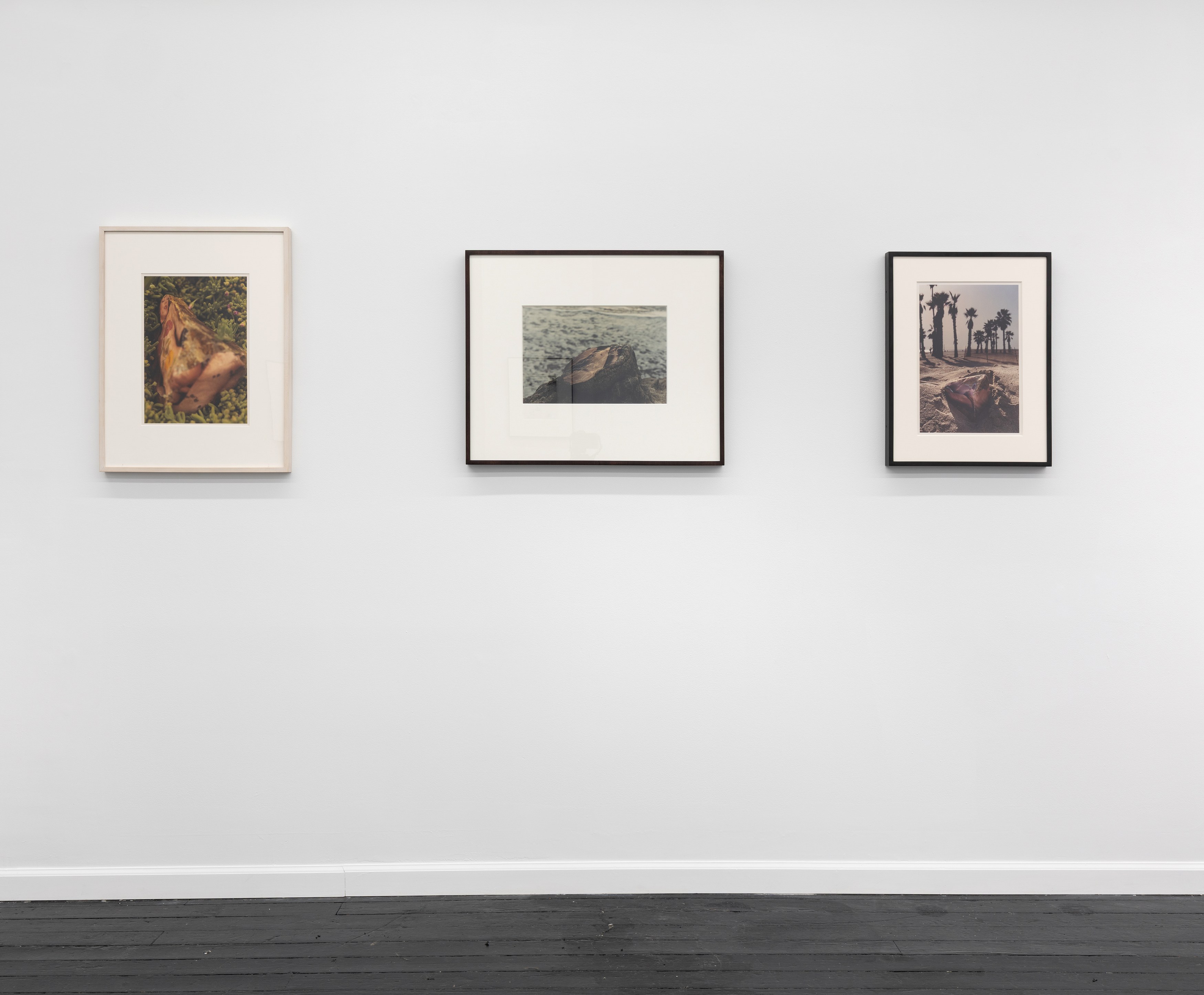 Tyger Tyger, Burning Bright, Tyger Tyger, Burning Bright at Kate Werble, photo 13