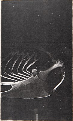 Image 17 of 24