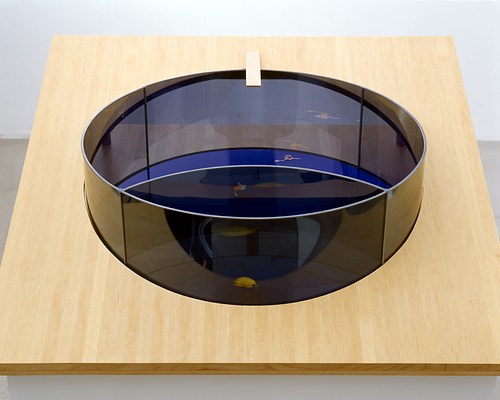 Image 2 of 13