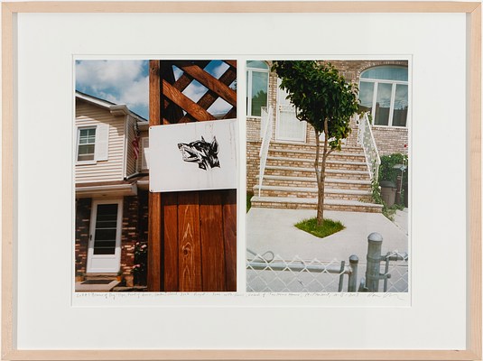 Image 5 of 13