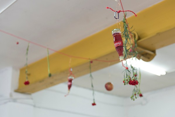 Image 9 of 19