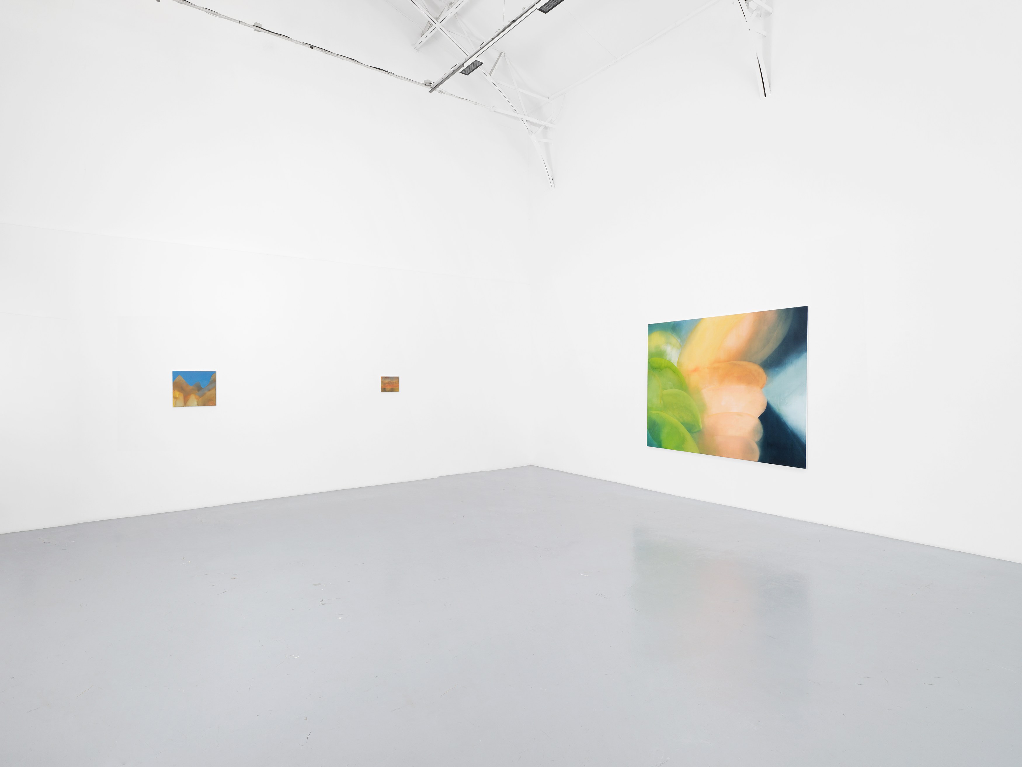 Claudio Coltorti, Your perception doesn’t make it easier at La Cuisine, photo 8