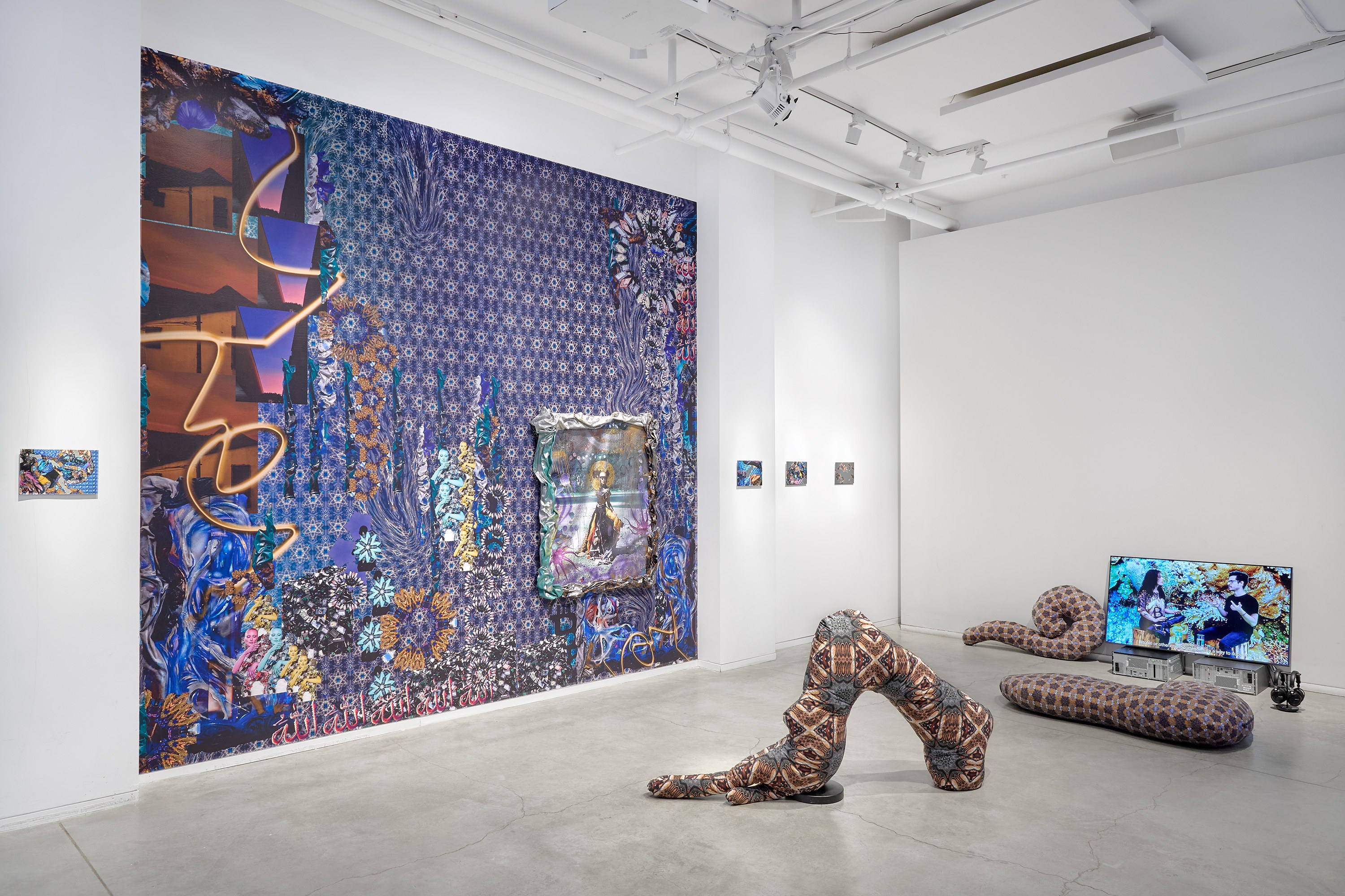 Anna Ehrenstein, CRIPTO SIRENAS at Goethe-Institut New York, photo 3