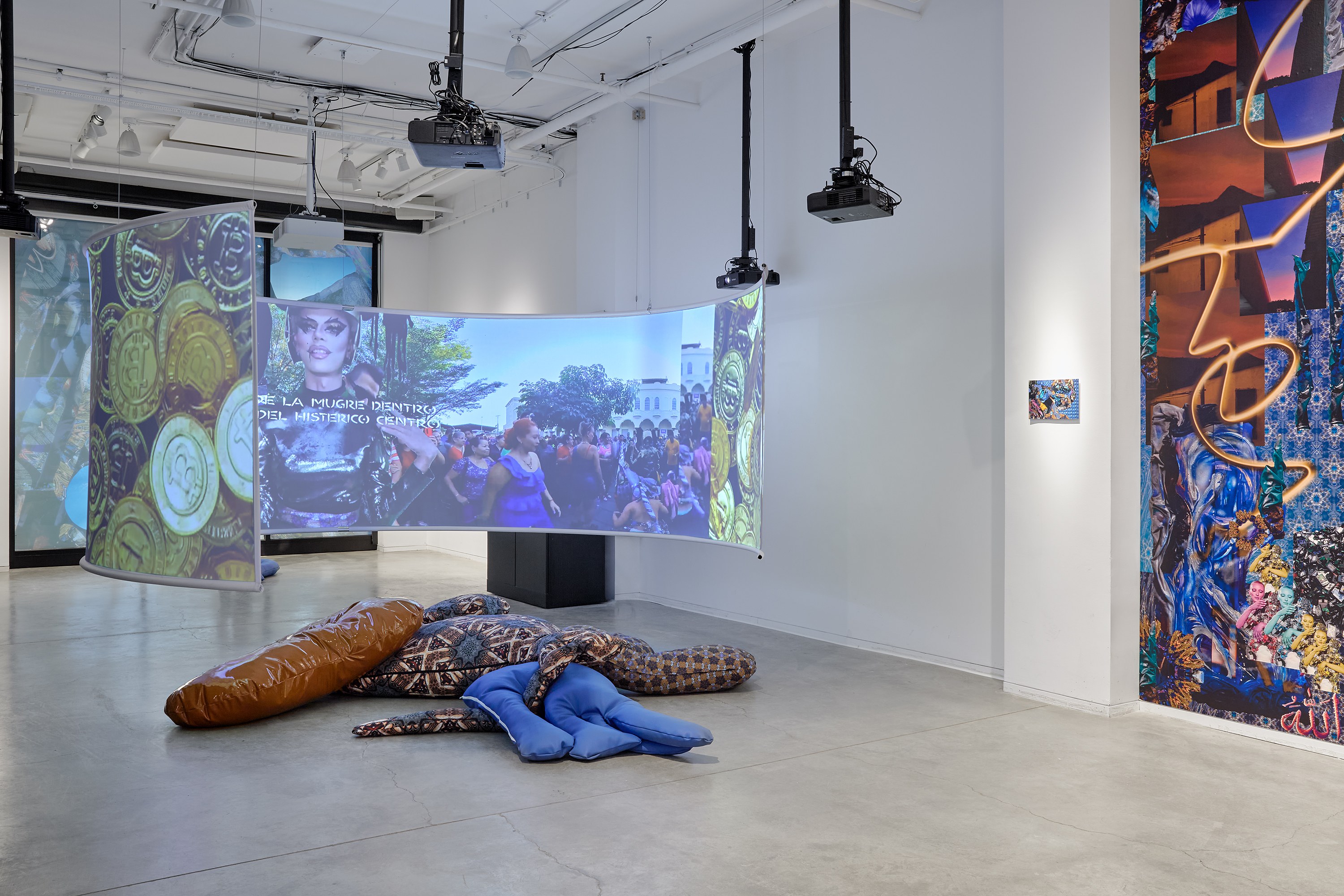Anna Ehrenstein, CRIPTO SIRENAS at Goethe-Institut New York, photo 7