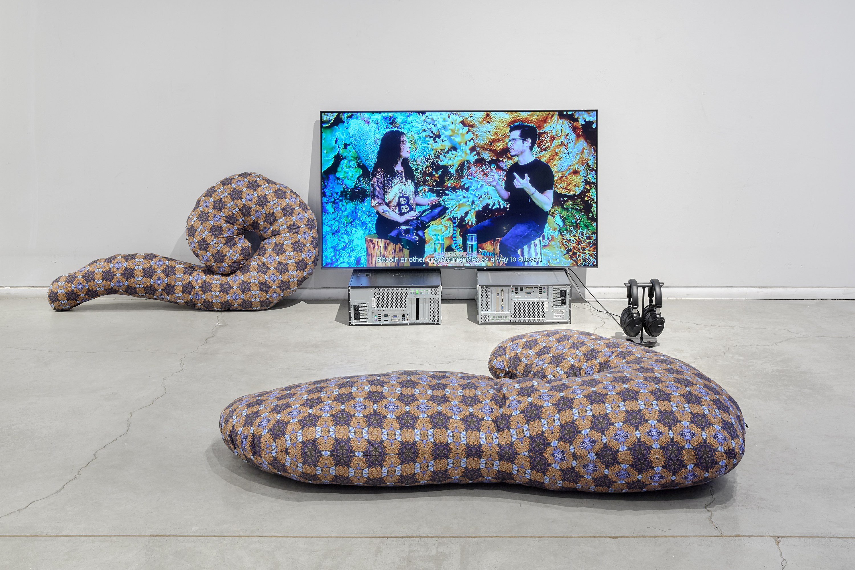 Anna Ehrenstein, CRIPTO SIRENAS at Goethe-Institut New York, photo 8