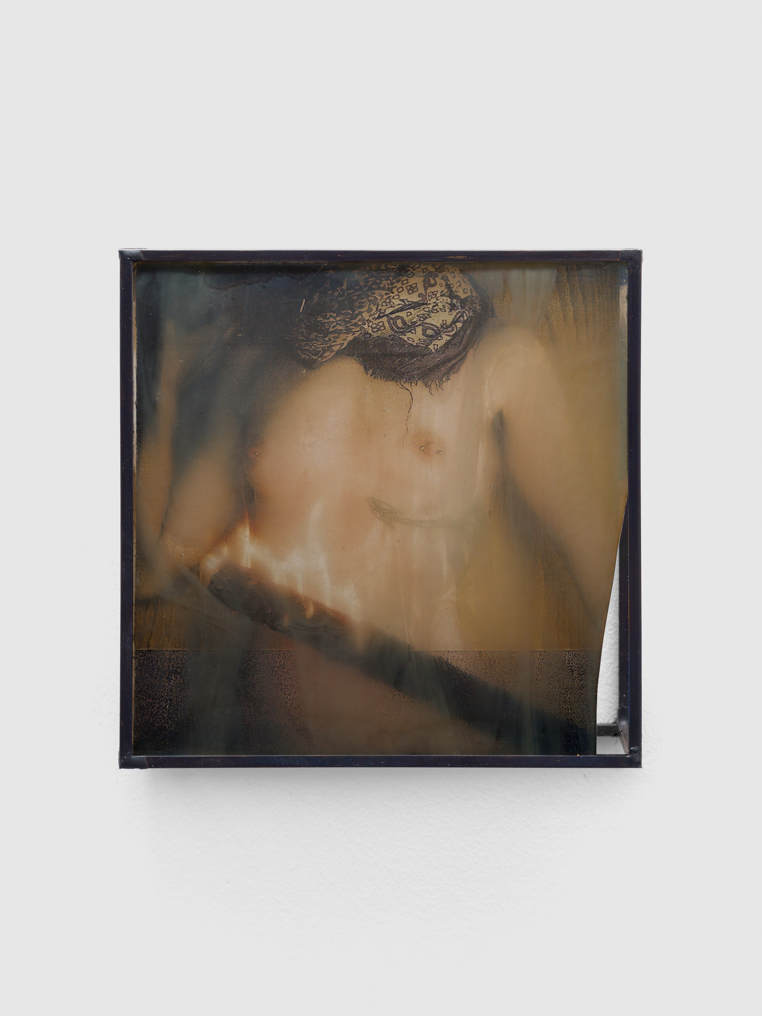 Rowan Renee, My Image Is a Lens at Island, photo 18
