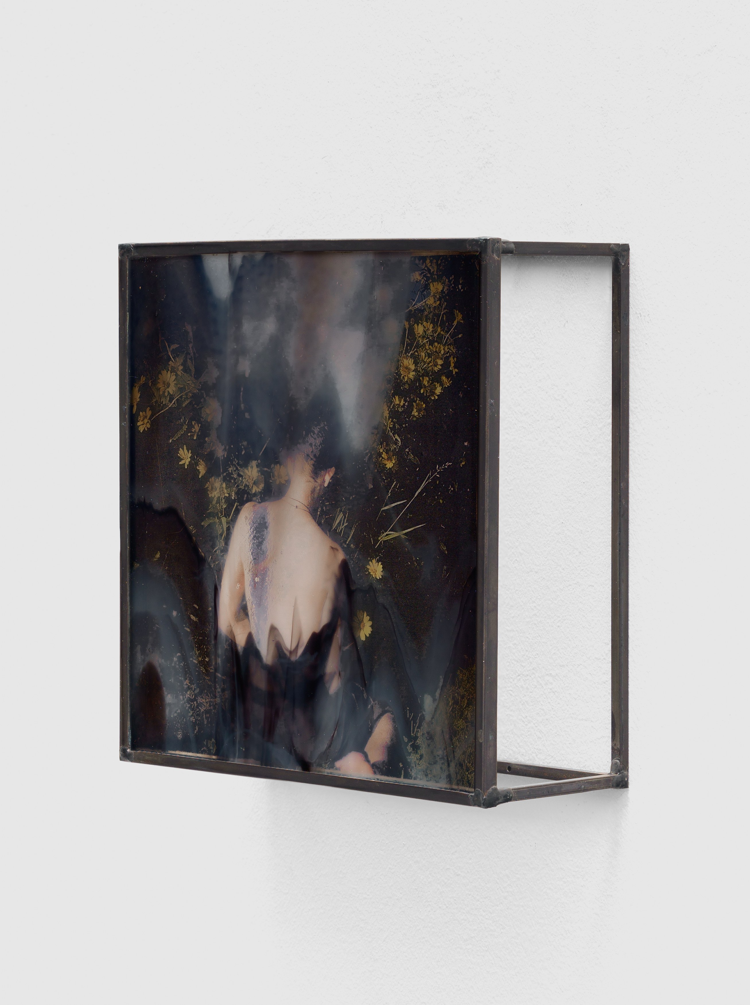 Rowan Renee, My Image Is a Lens at Island, photo 23