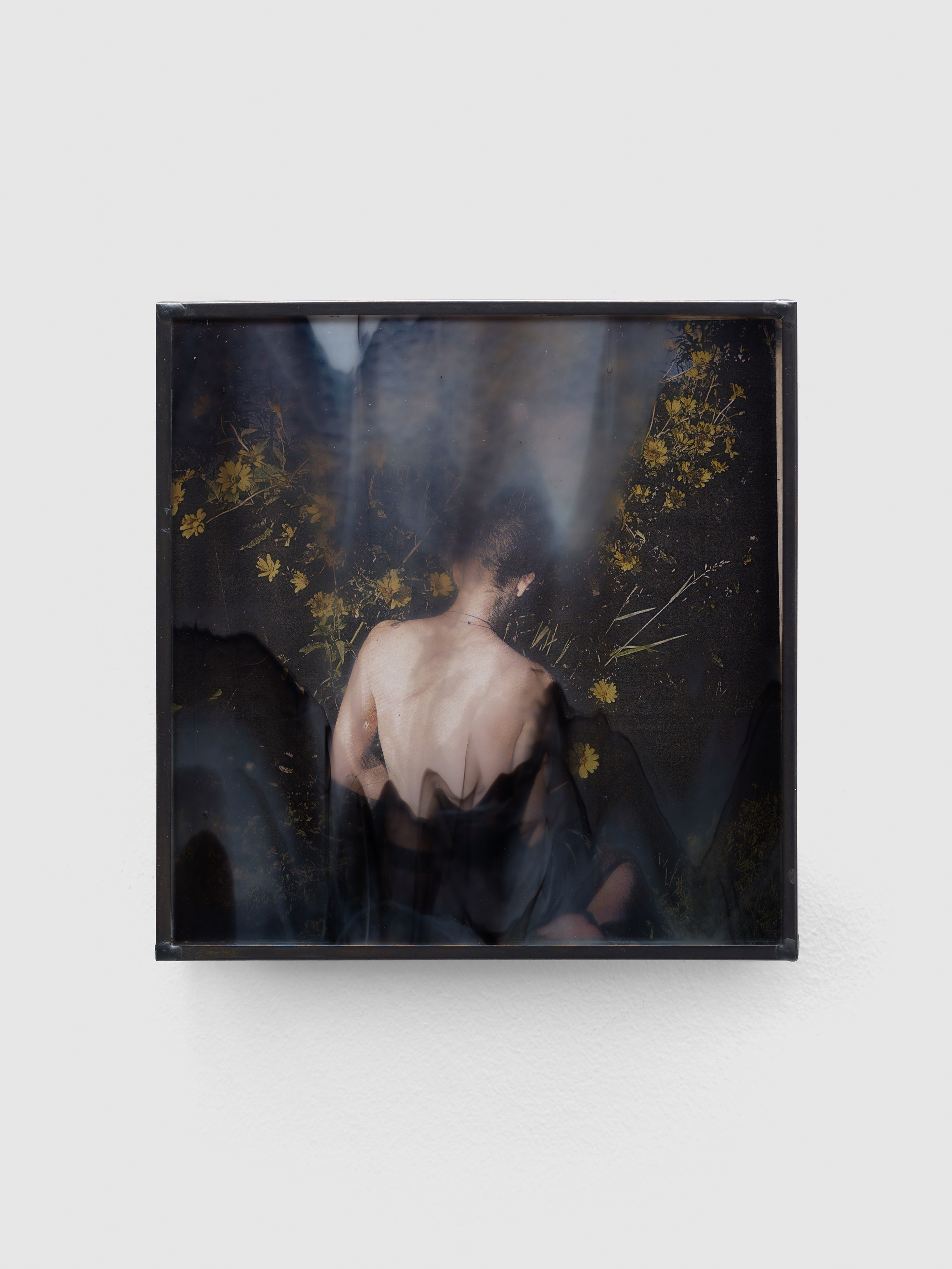 Rowan Renee, My Image Is a Lens at Island, photo 24