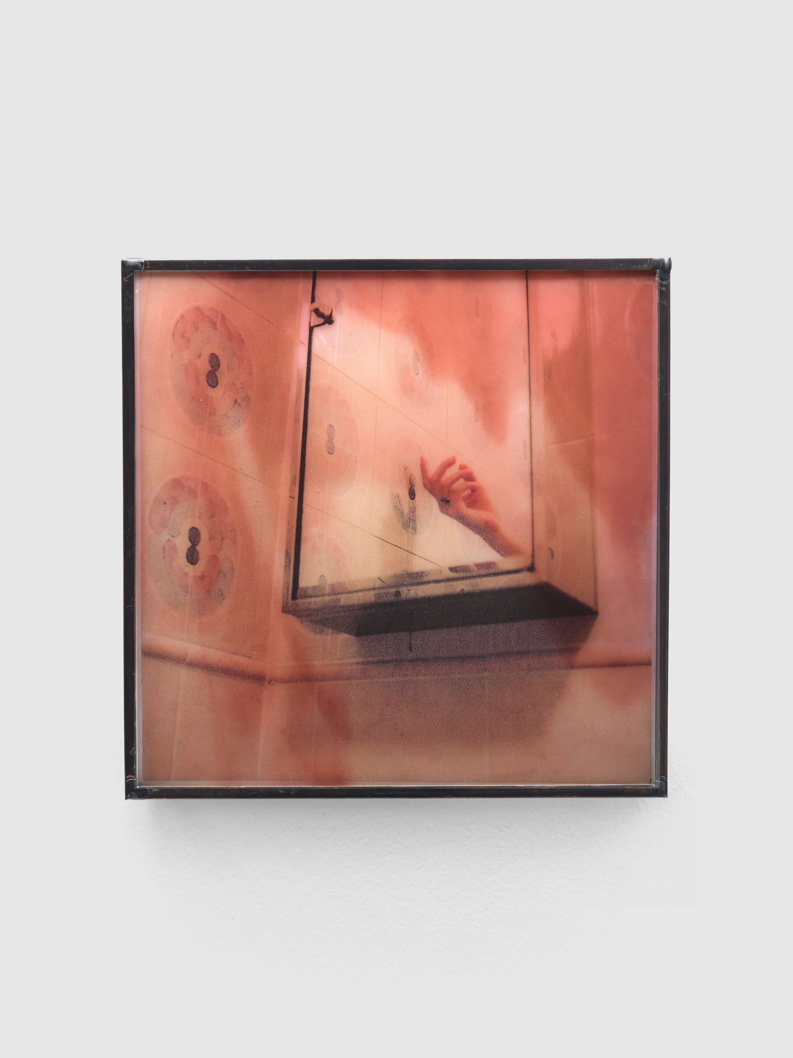Rowan Renee, My Image Is a Lens at Island, photo 25