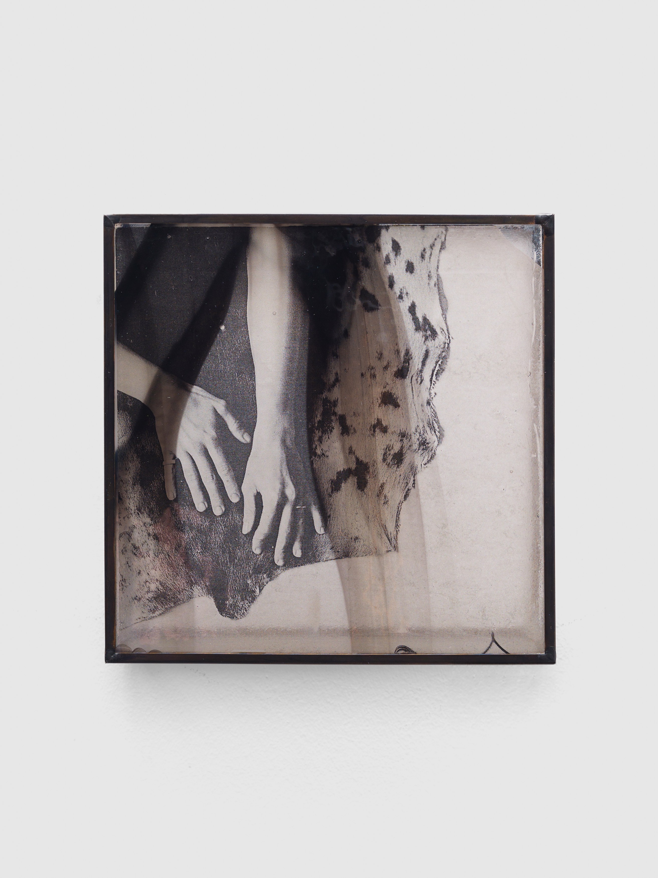 Rowan Renee, My Image Is a Lens at Island, photo 28