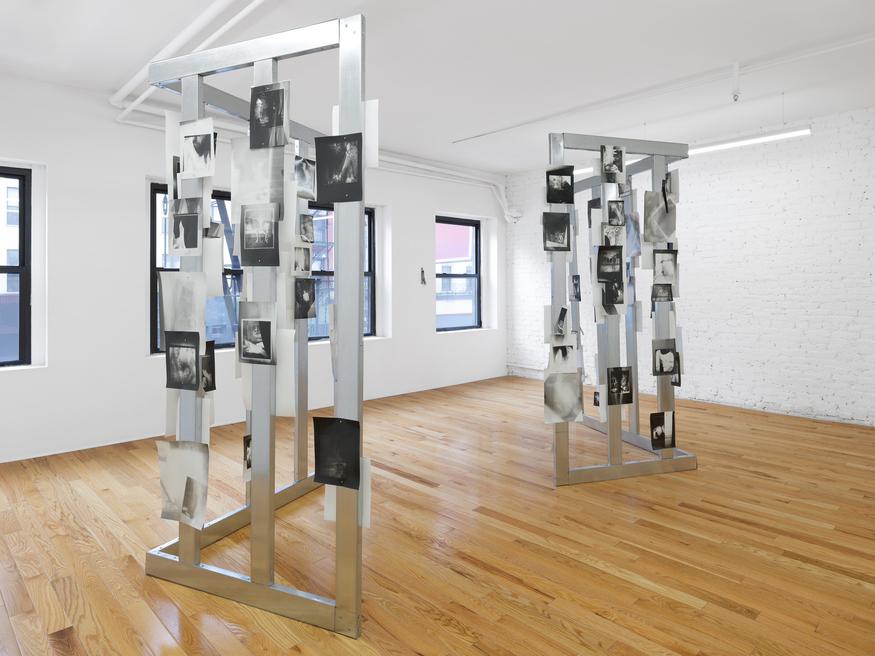 Rowan Renee, My Image Is a Lens at Island, photo 3