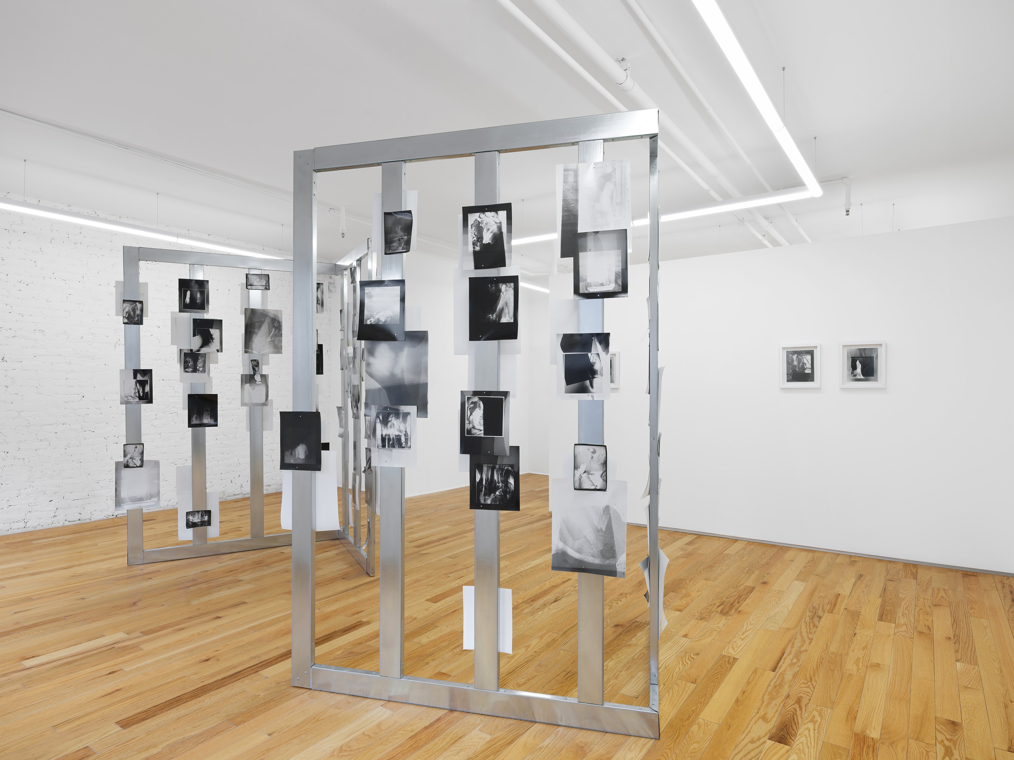 Rowan Renee, My Image Is a Lens at Island, photo 4