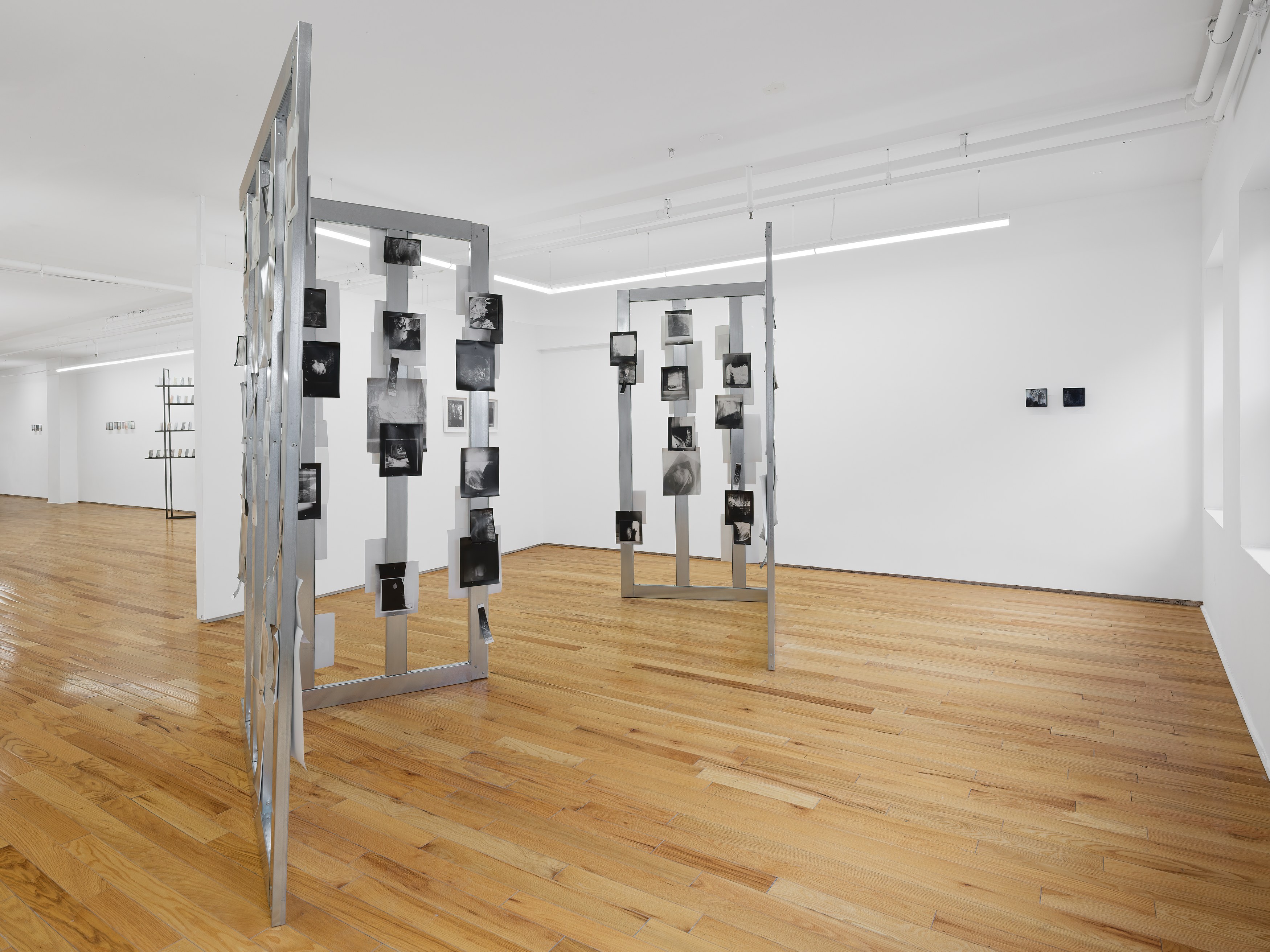 Rowan Renee, My Image Is a Lens at Island, photo 5