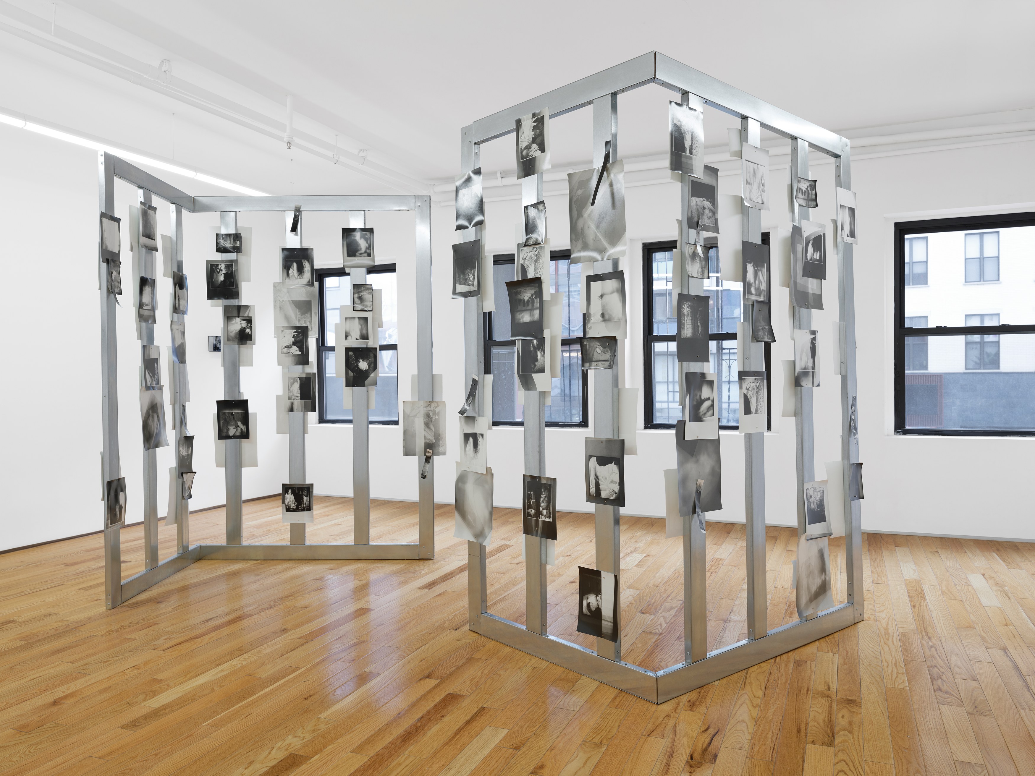 Rowan Renee, My Image Is a Lens at Island, photo 6