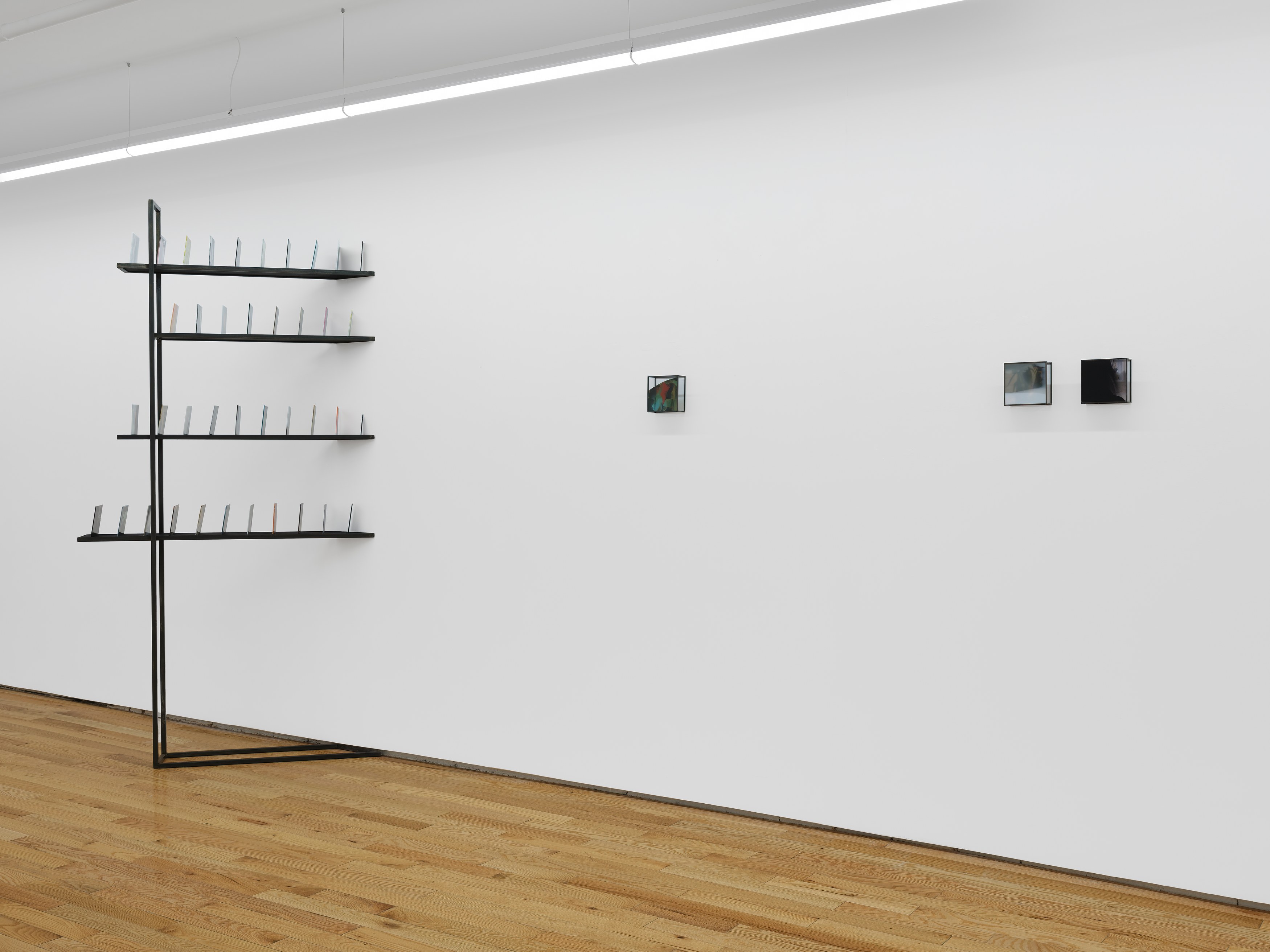 Rowan Renee, My Image Is a Lens at Island, photo 9