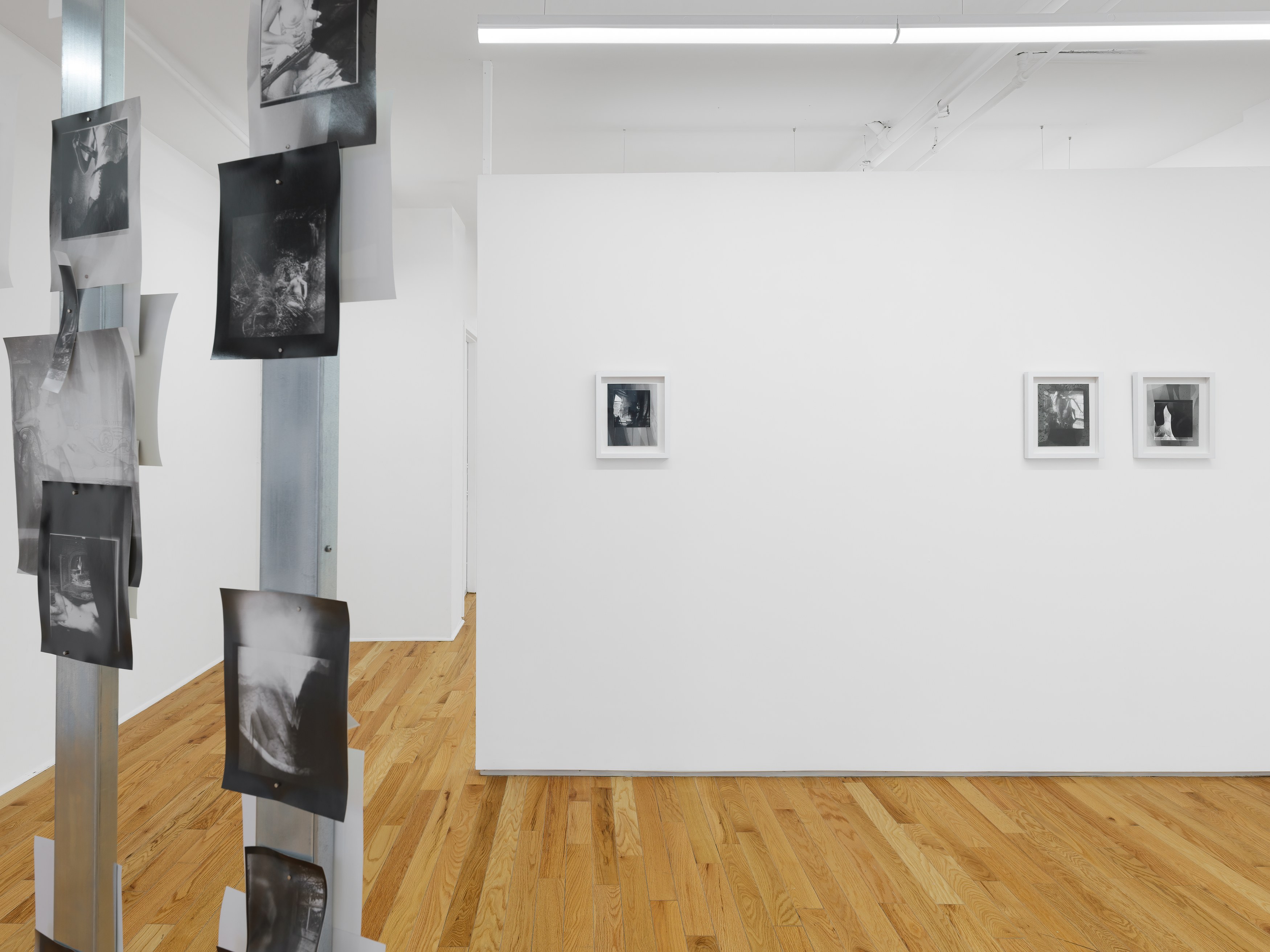 Rowan Renee, My Image Is a Lens at Island, photo 7