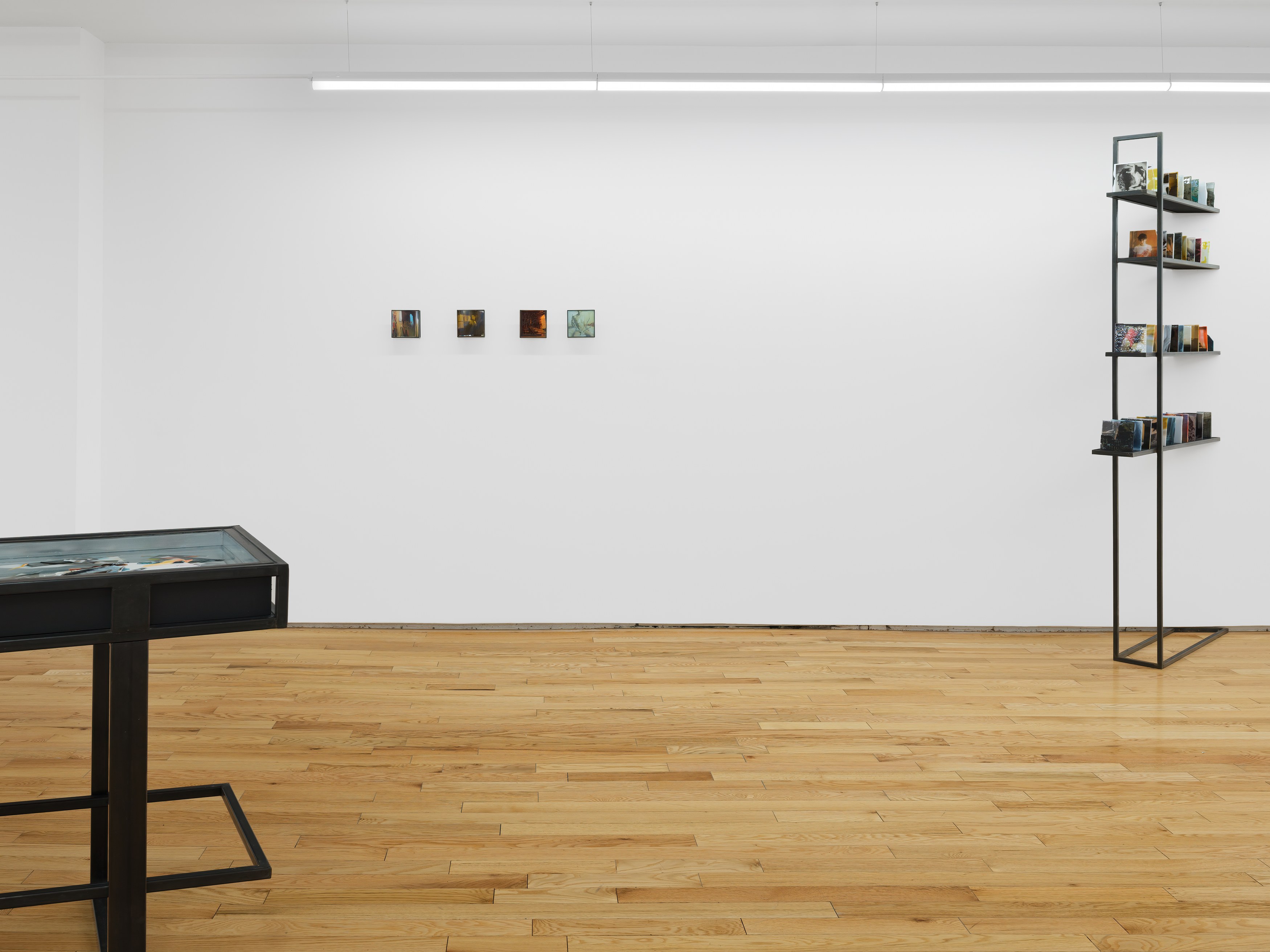 Rowan Renee, My Image Is a Lens at Island, photo 10