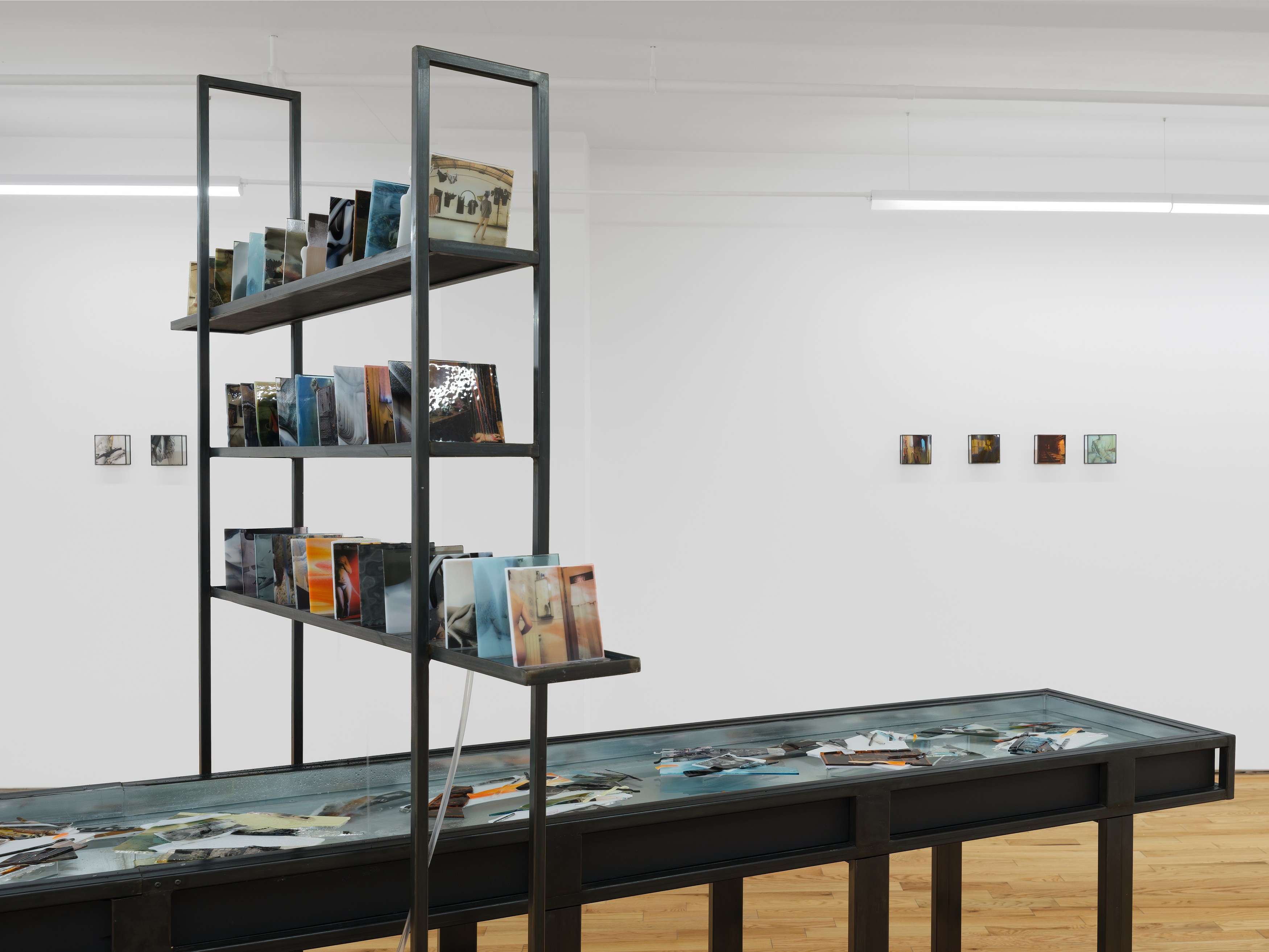 Rowan Renee, My Image Is a Lens at Island, photo 11