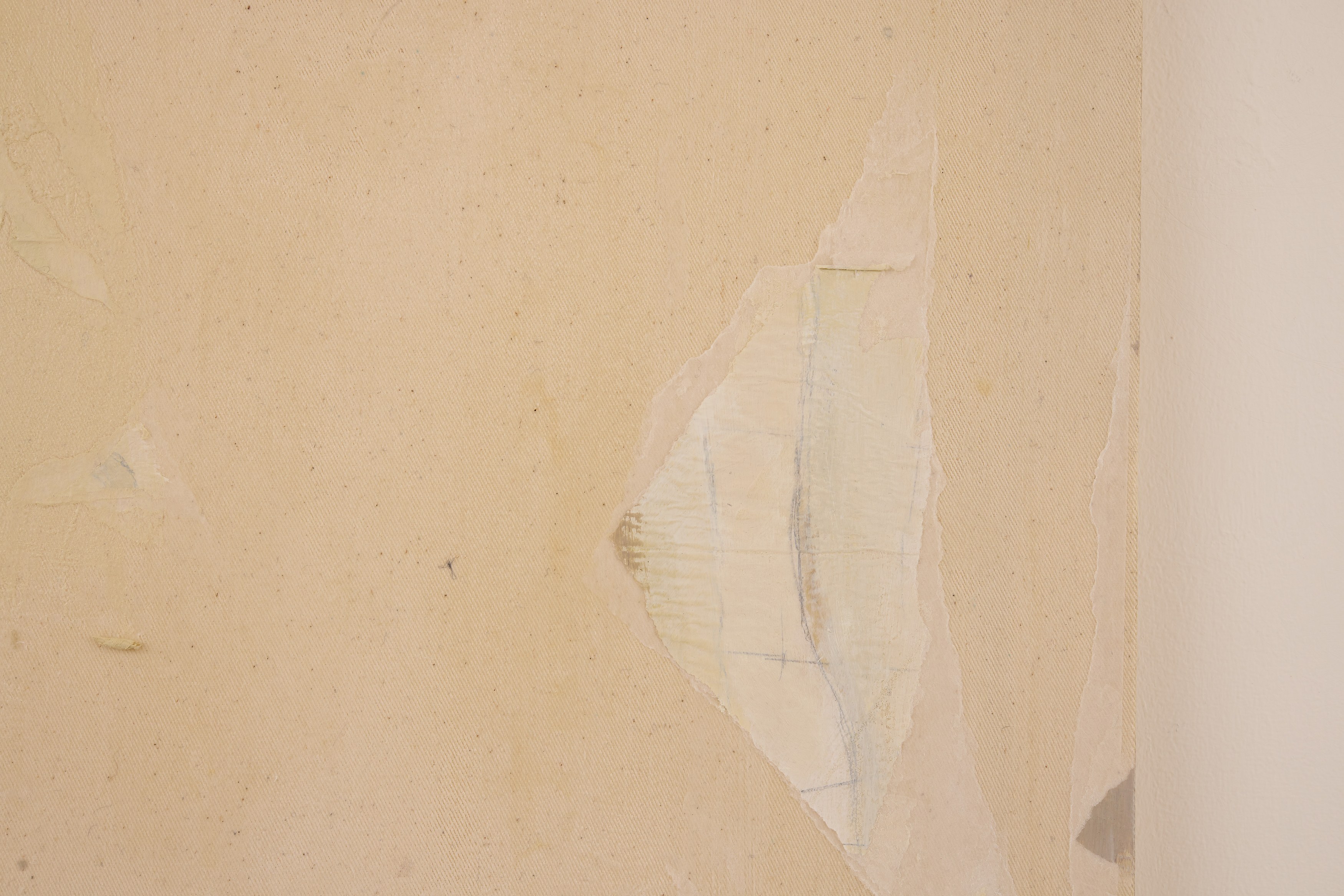 Nicholas Marschner, Silent Running​ at Alice Amati, photo 24
