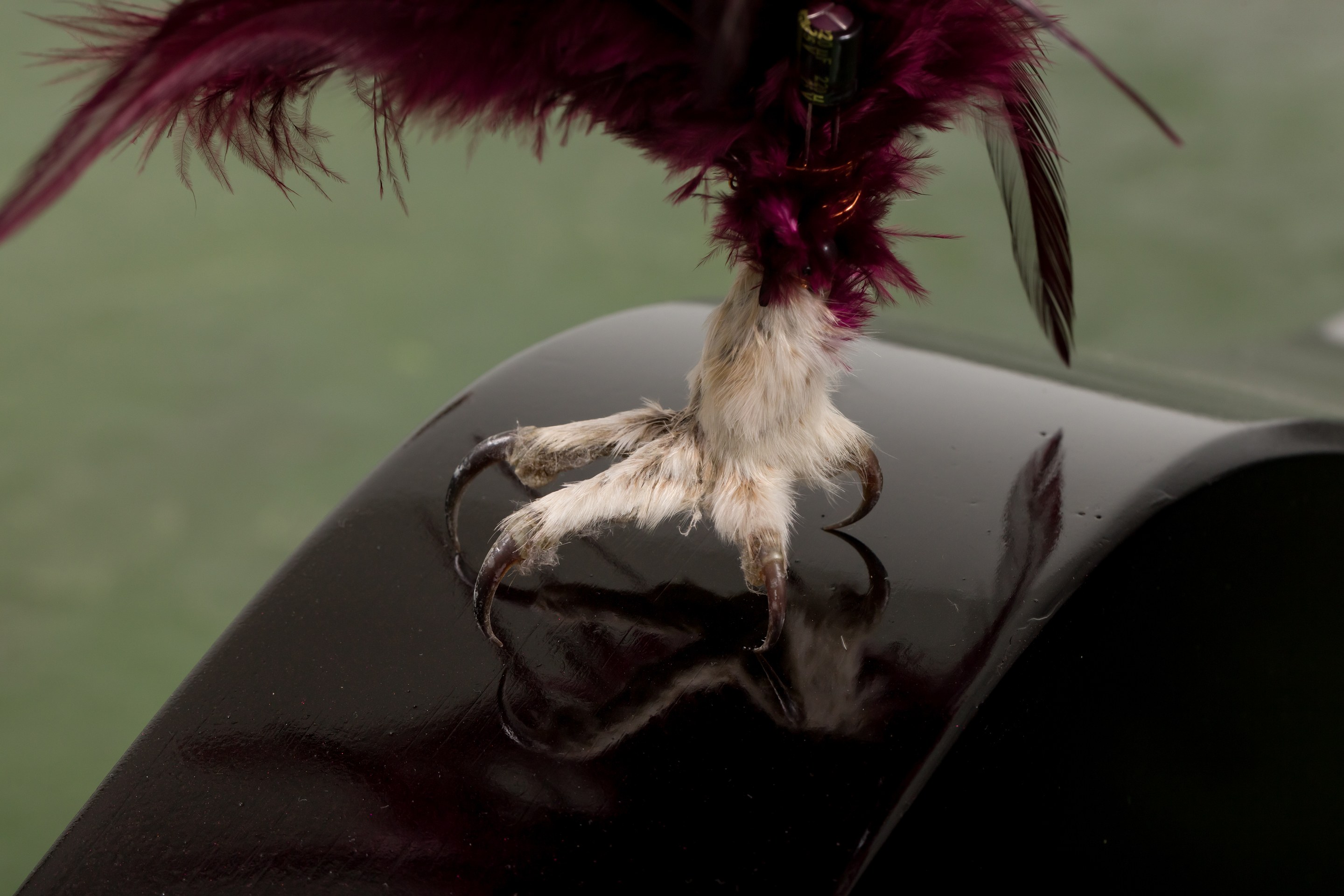 Marieke Bernard-Berkel, Li Li Ren, Immaterial Gelatine at Sherbet Green, photo 17