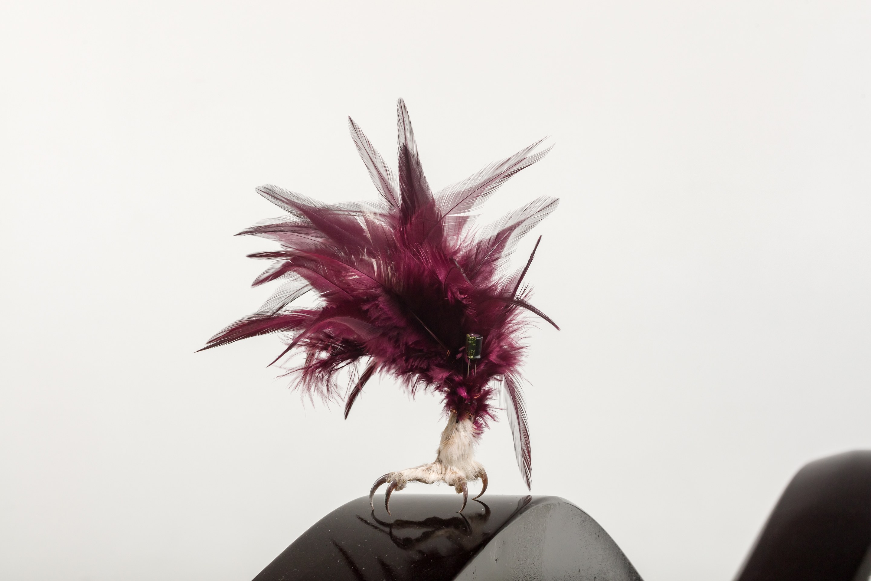 Marieke Bernard-Berkel, Li Li Ren, Immaterial Gelatine at Sherbet Green, photo 19