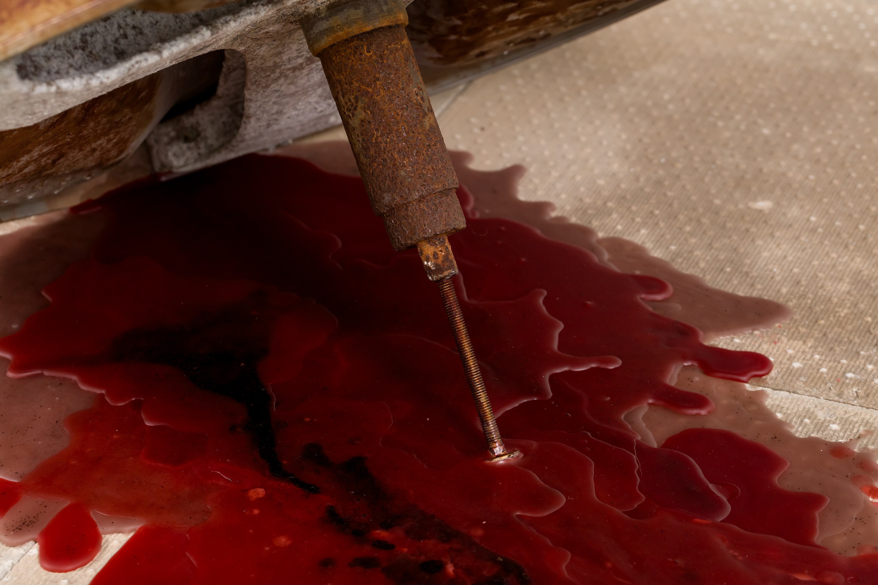 Marieke Bernard-Berkel, Li Li Ren, Immaterial Gelatine at Sherbet Green, photo 31