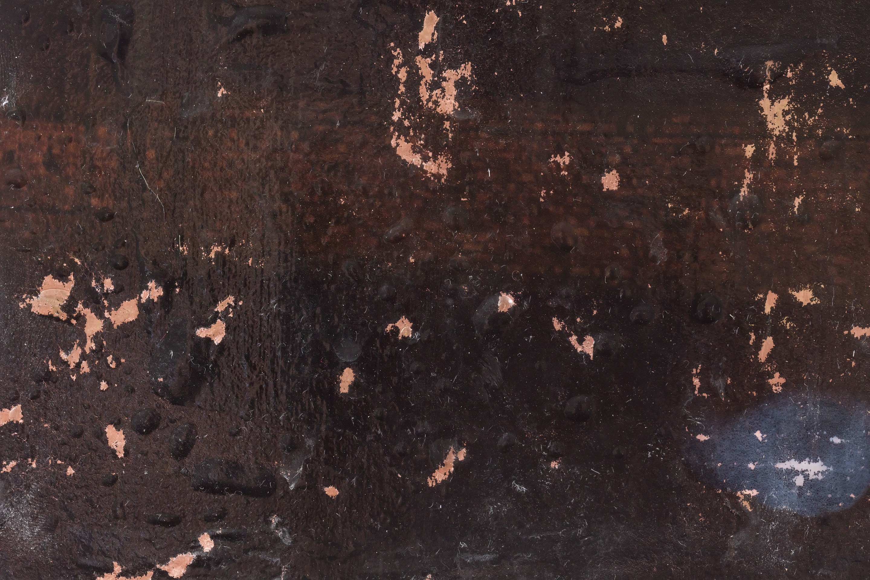 Marieke Bernard-Berkel, Li Li Ren, Immaterial Gelatine at Sherbet Green, photo 37