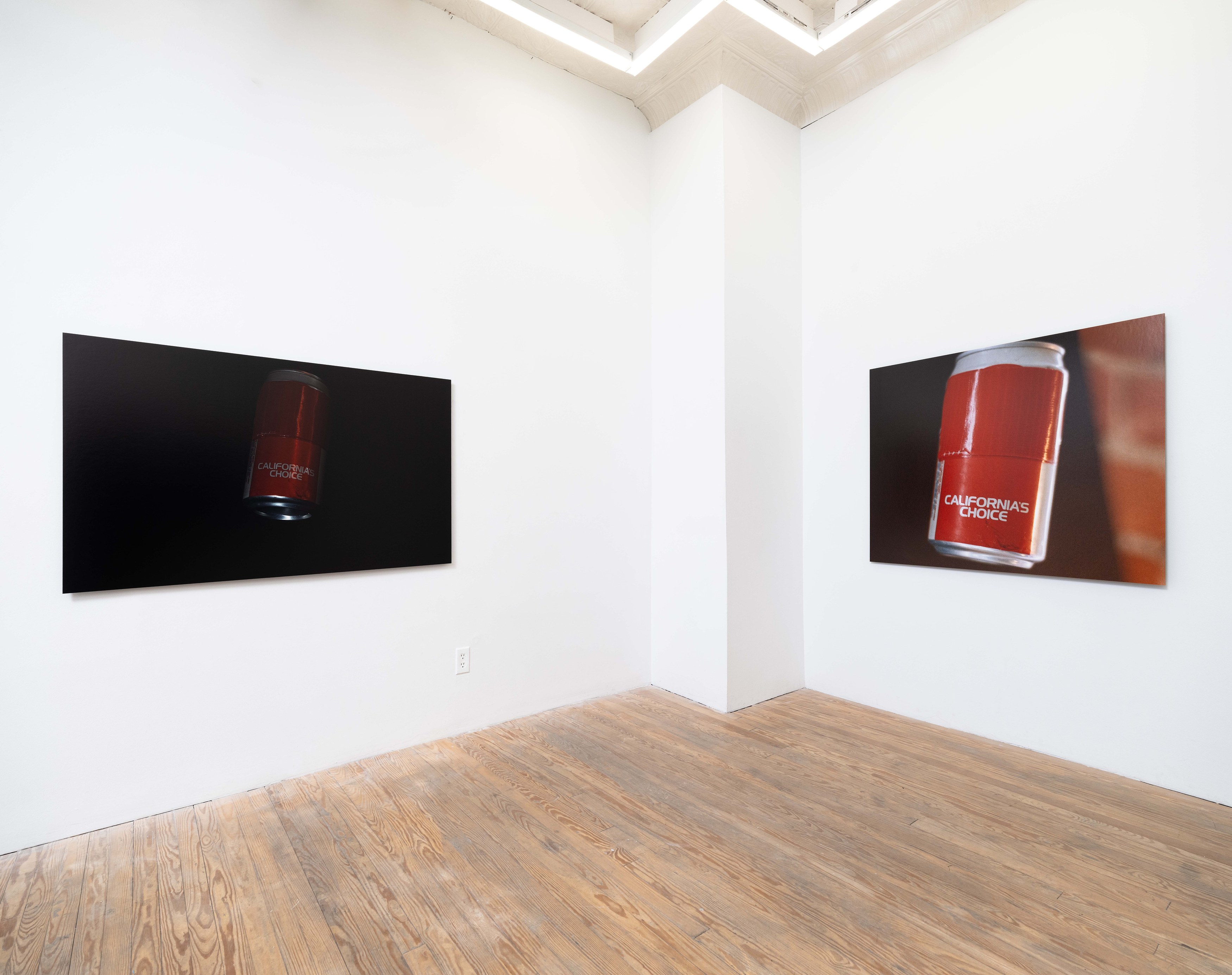 Megan Plunkett, Beep If You Boop at PAGE (NYC) and Dracula's Revenge, New York, photo 3