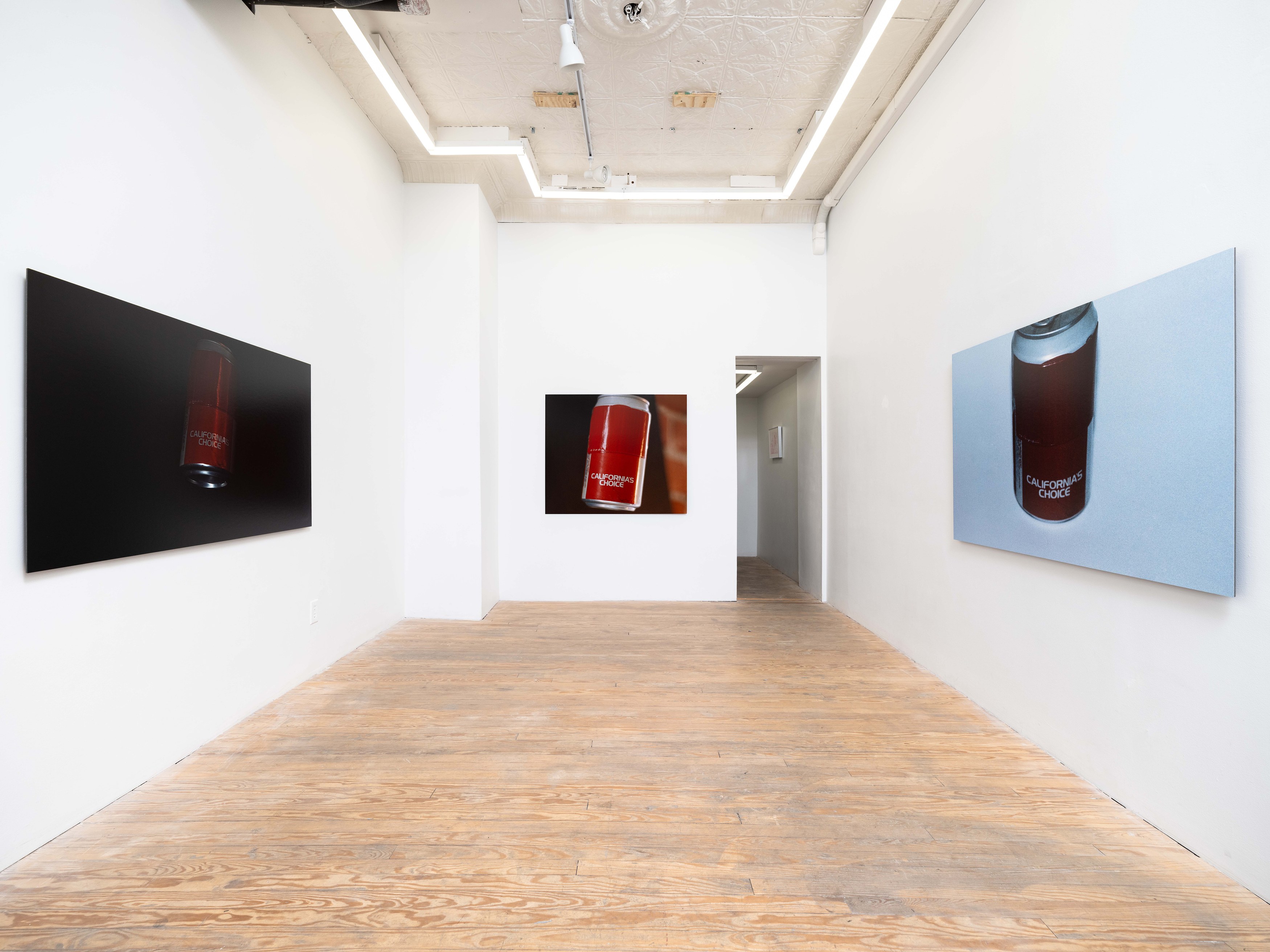 Megan Plunkett, Beep If You Boop at PAGE (NYC) and Dracula's Revenge, New York, photo 9