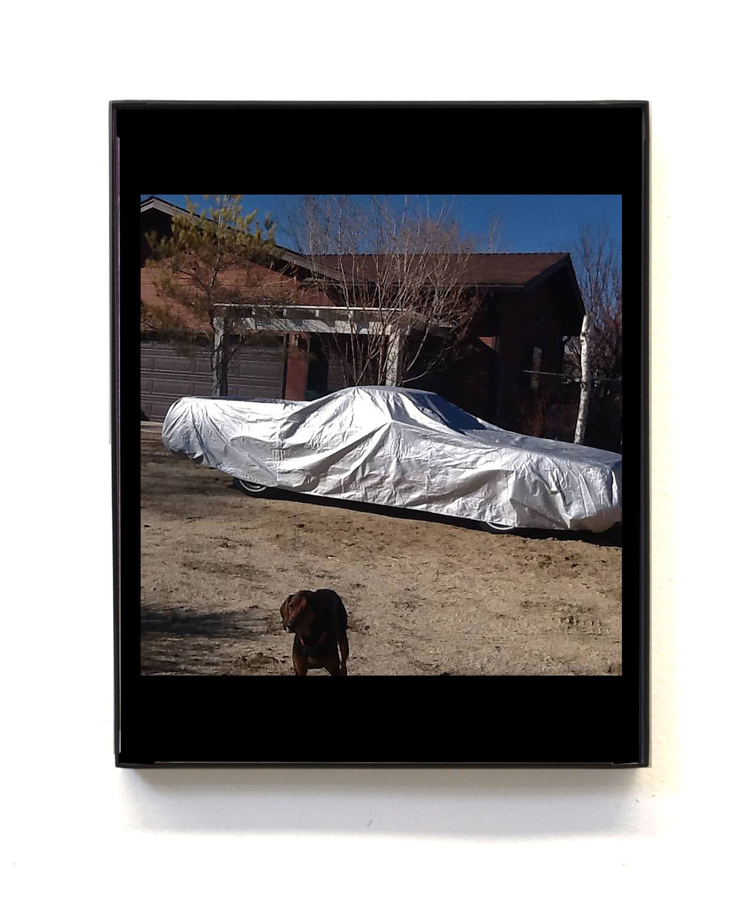 Gaylen Gerber, Puppies Puppies (Jade Guanaro Kuriki-Olivo), Megan Plunkett, Condo London 2019 at Emalin, photo 4
